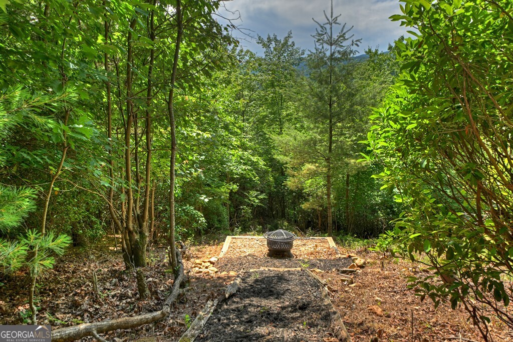 277 Hickory Nut Trail Property Photo 24