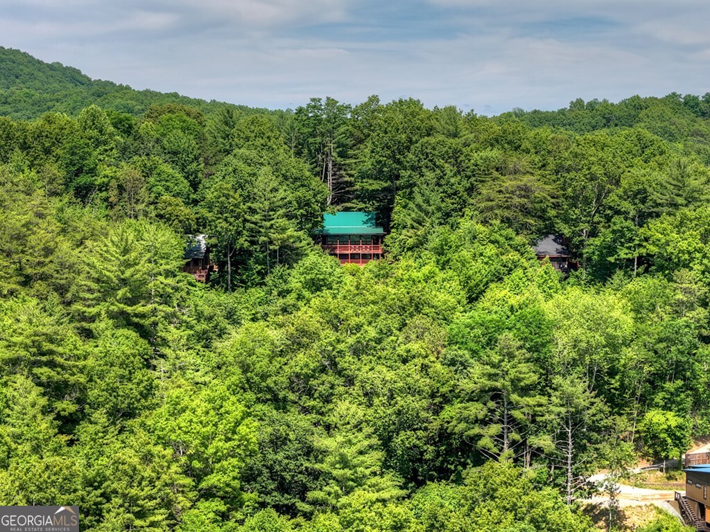 277 Hickory Nut Trail Property Photo 47