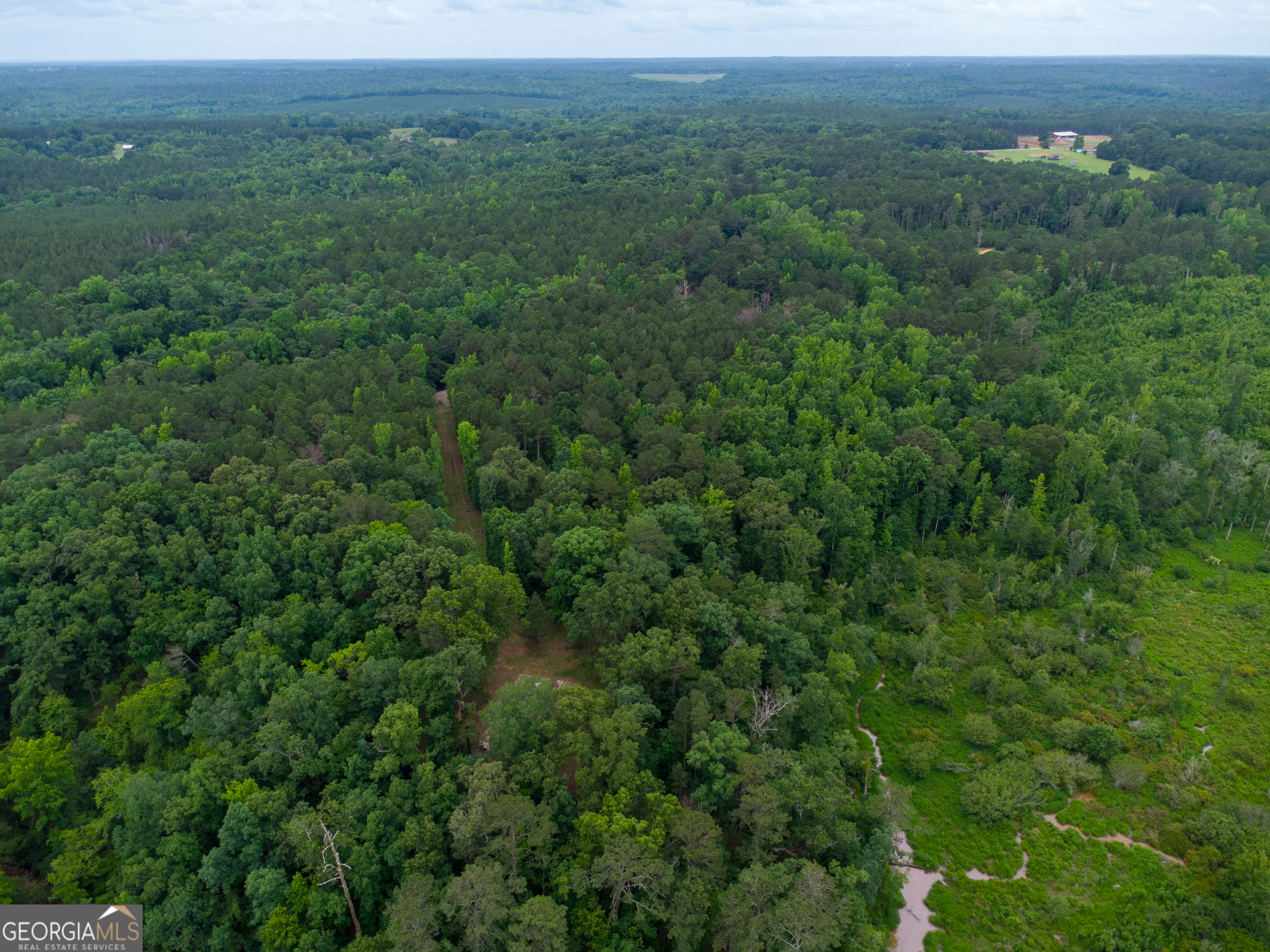 331 Potts Pond Road Property Photo 6