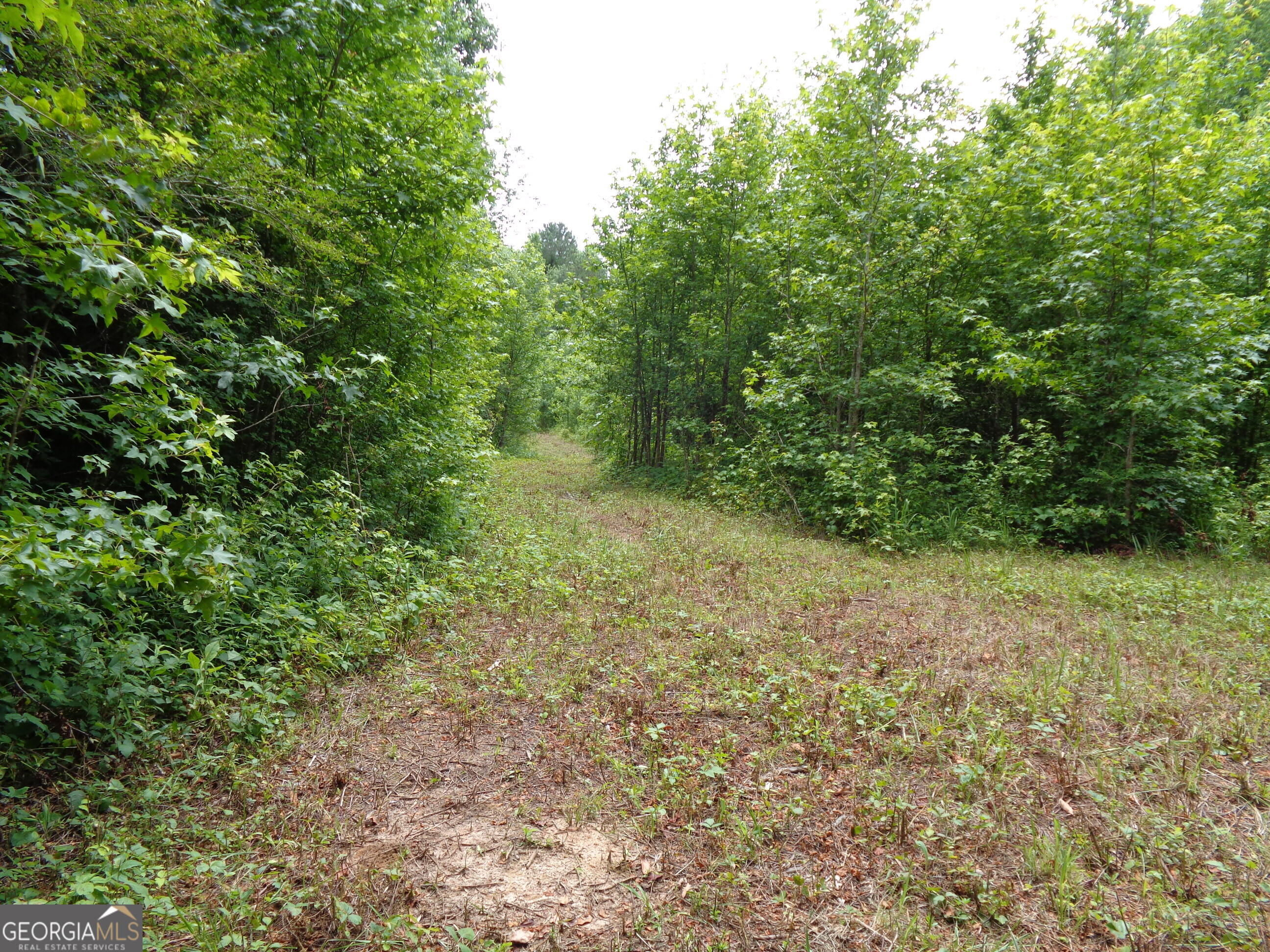2411 Kesler Road Property Photo 3