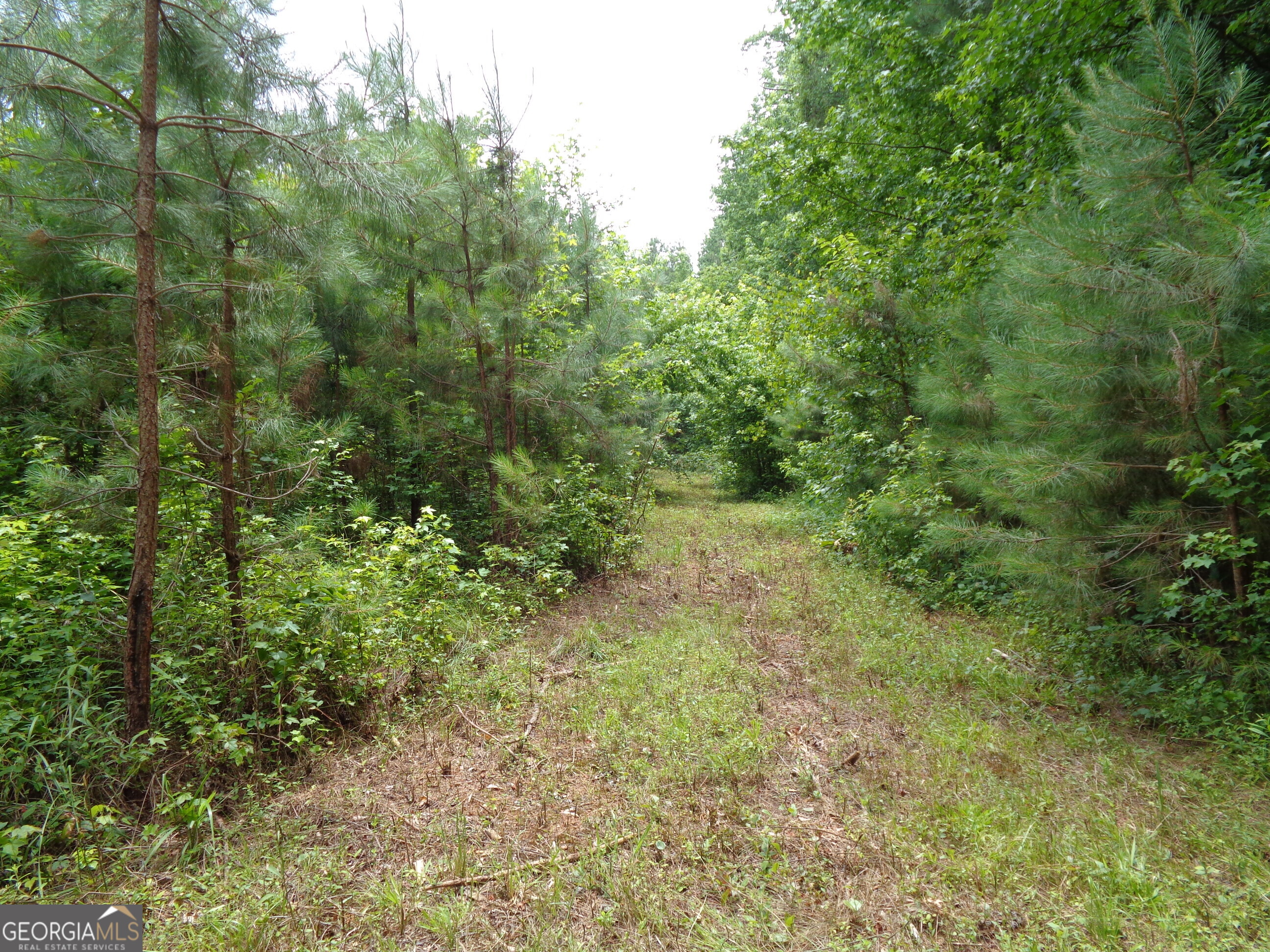 2411 Kesler Road Property Photo 5