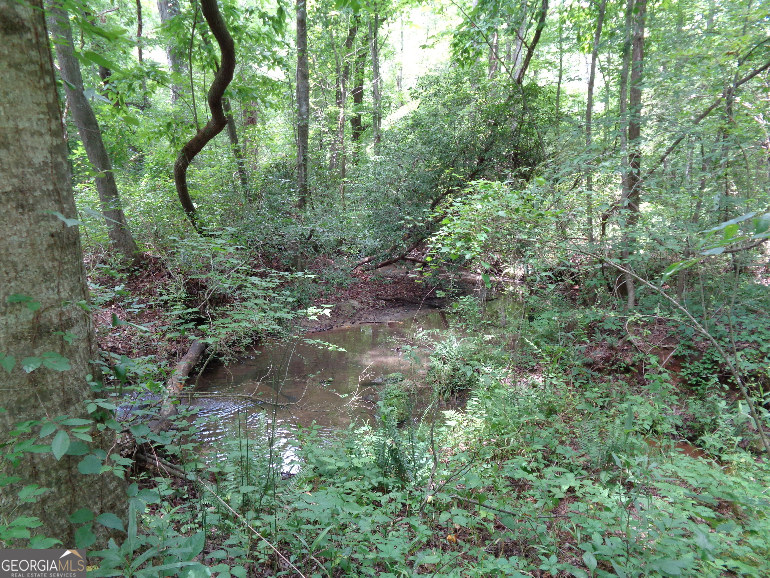 2411 Kesler Road Property Photo 7