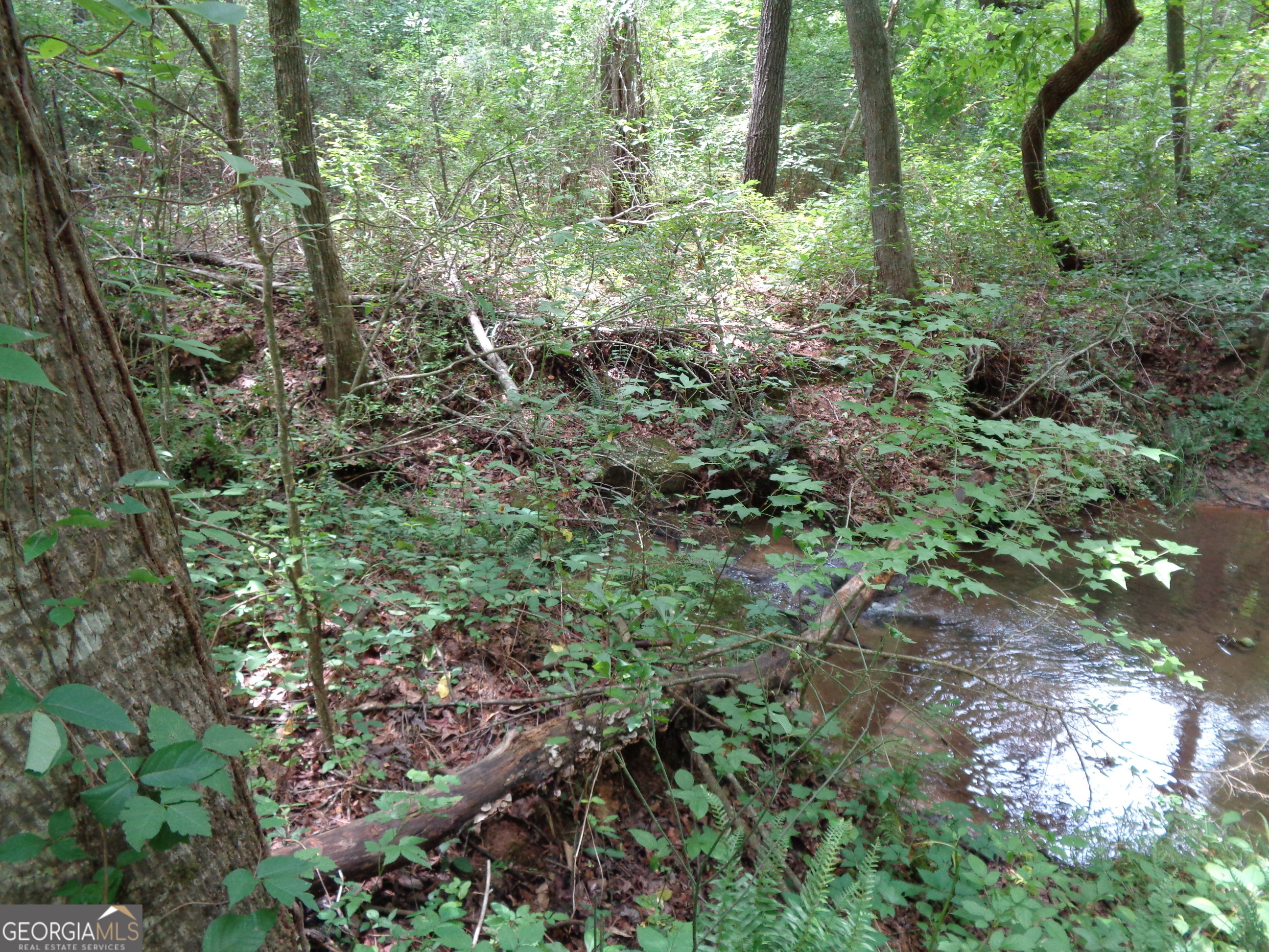 2411 Kesler Road Property Photo 8