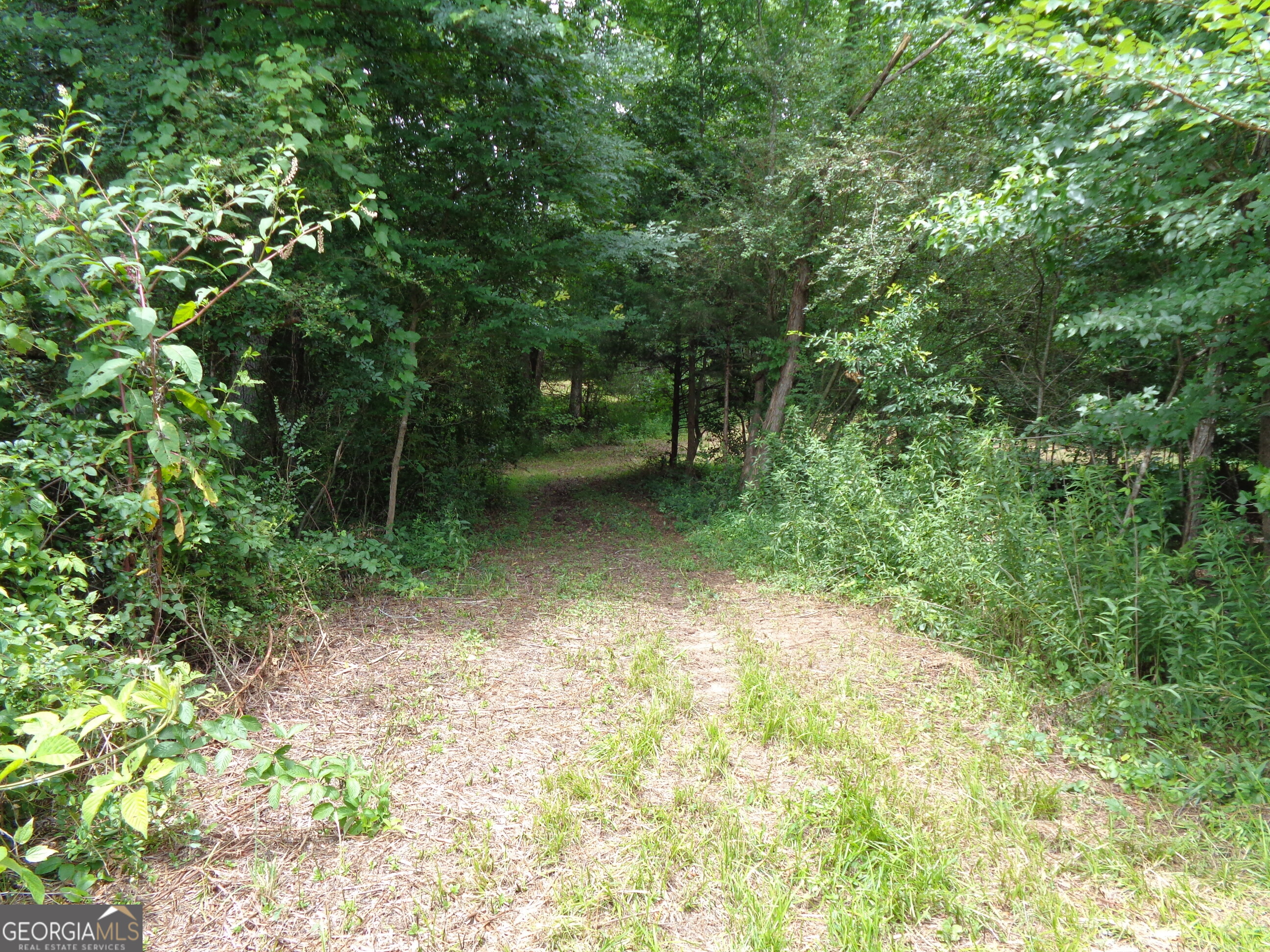 2411 Kesler Road Property Photo 19