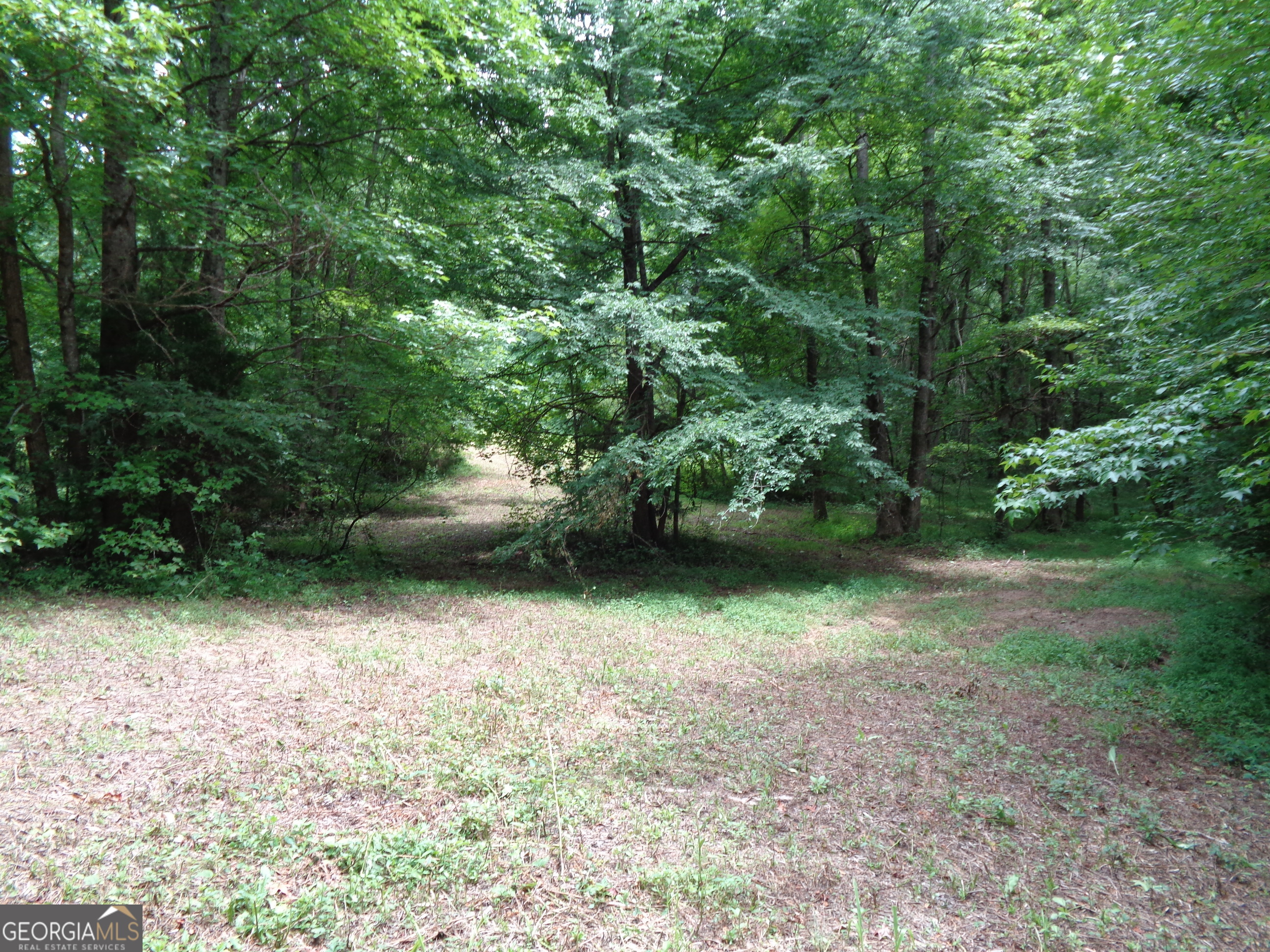 2411 Kesler Road Property Photo 21