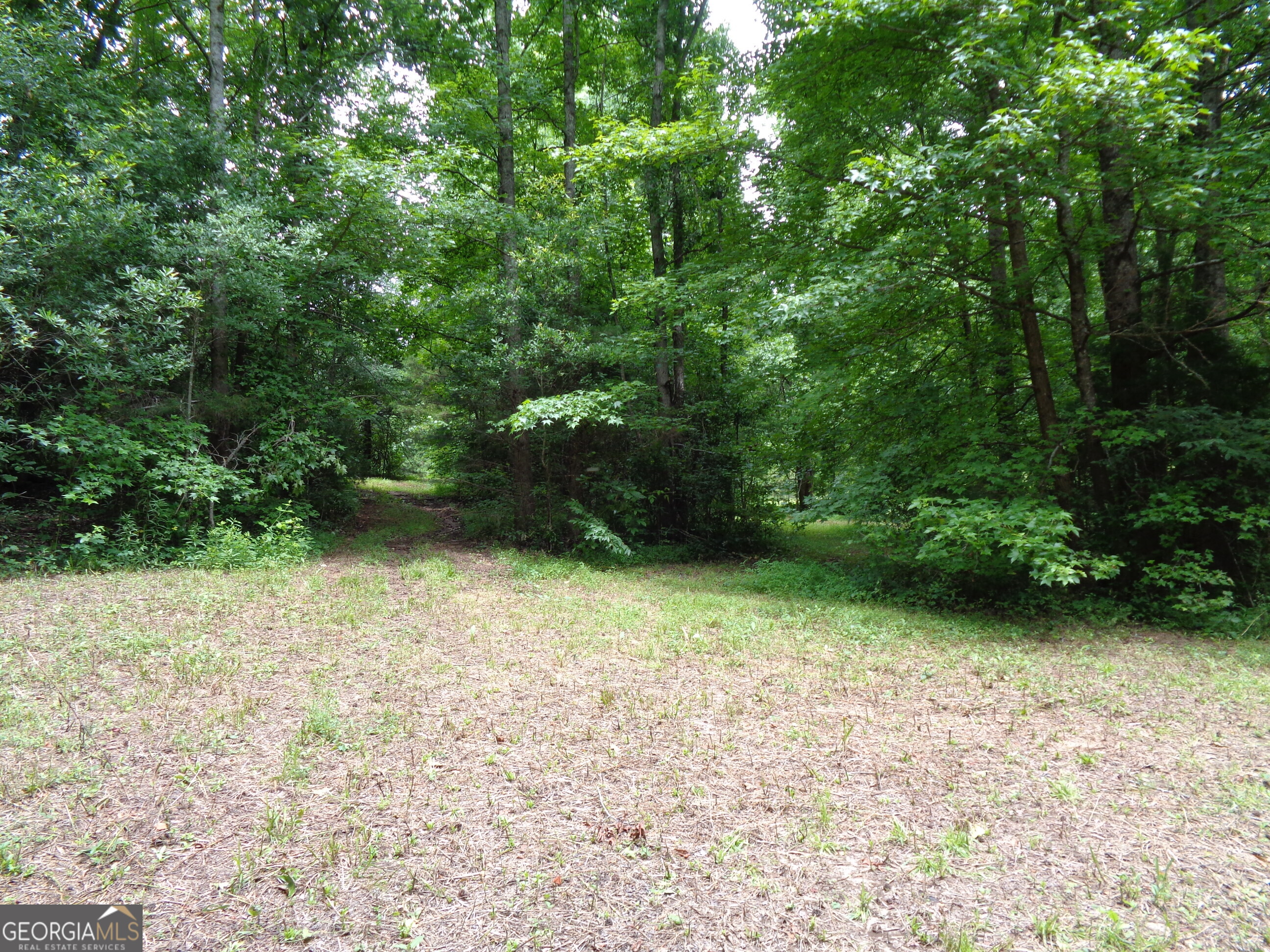 2411 Kesler Road Property Photo 22