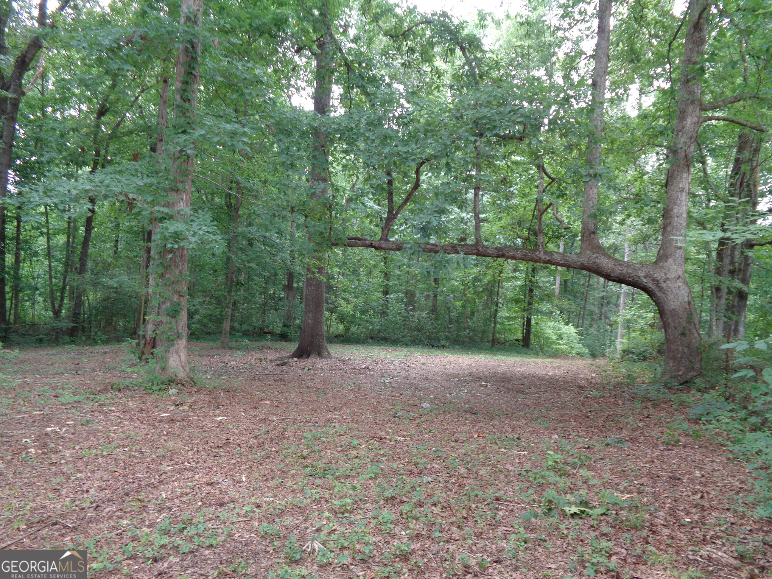 2411 Kesler Road Property Photo 25
