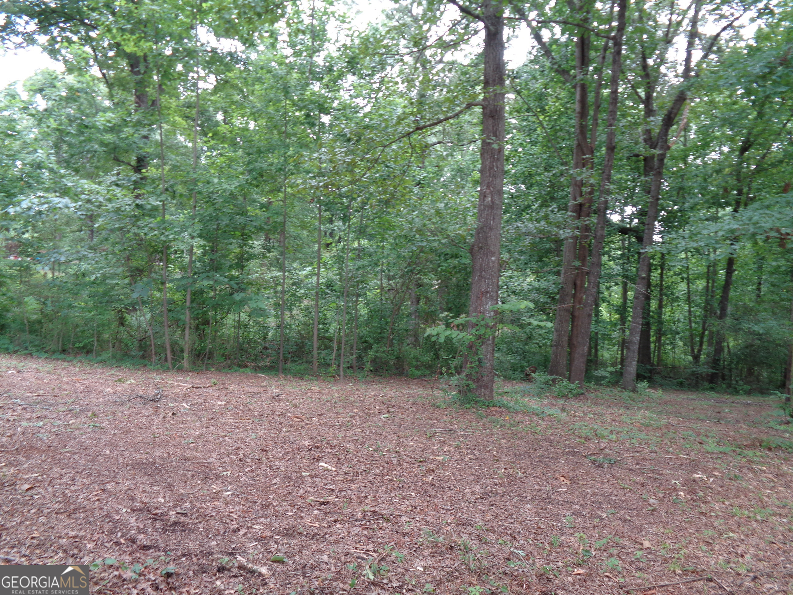 2411 Kesler Road Property Photo 26