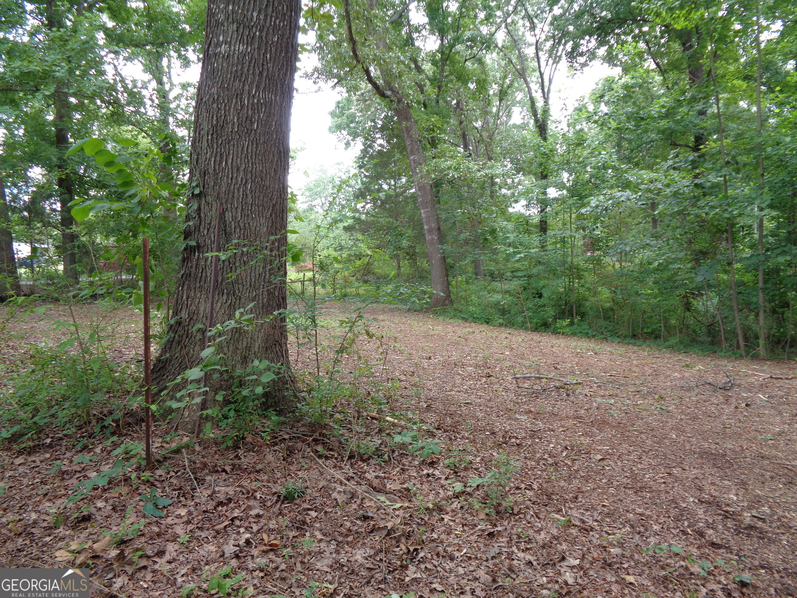 2411 Kesler Road Property Photo 27