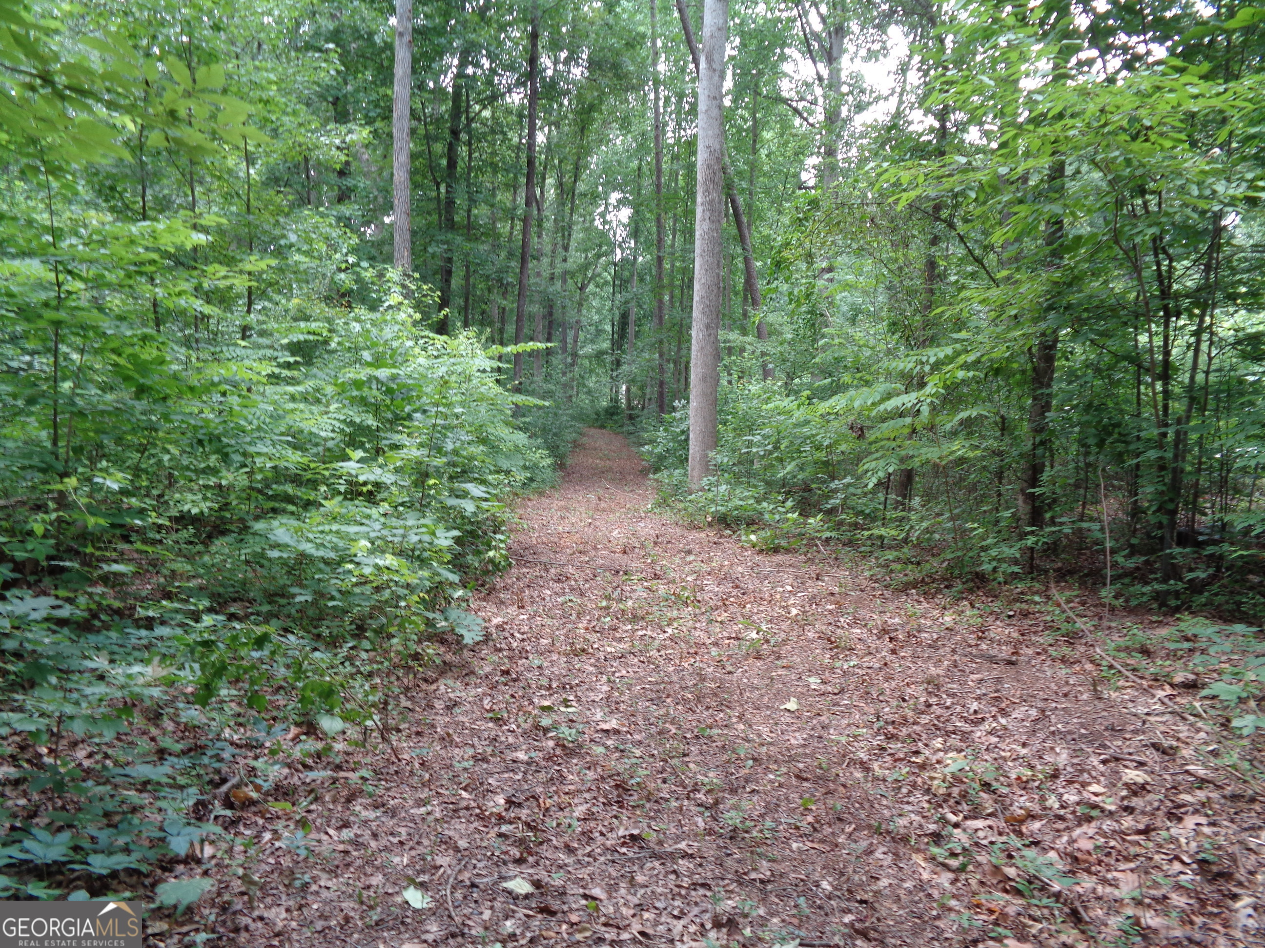 2411 Kesler Road Property Photo 30