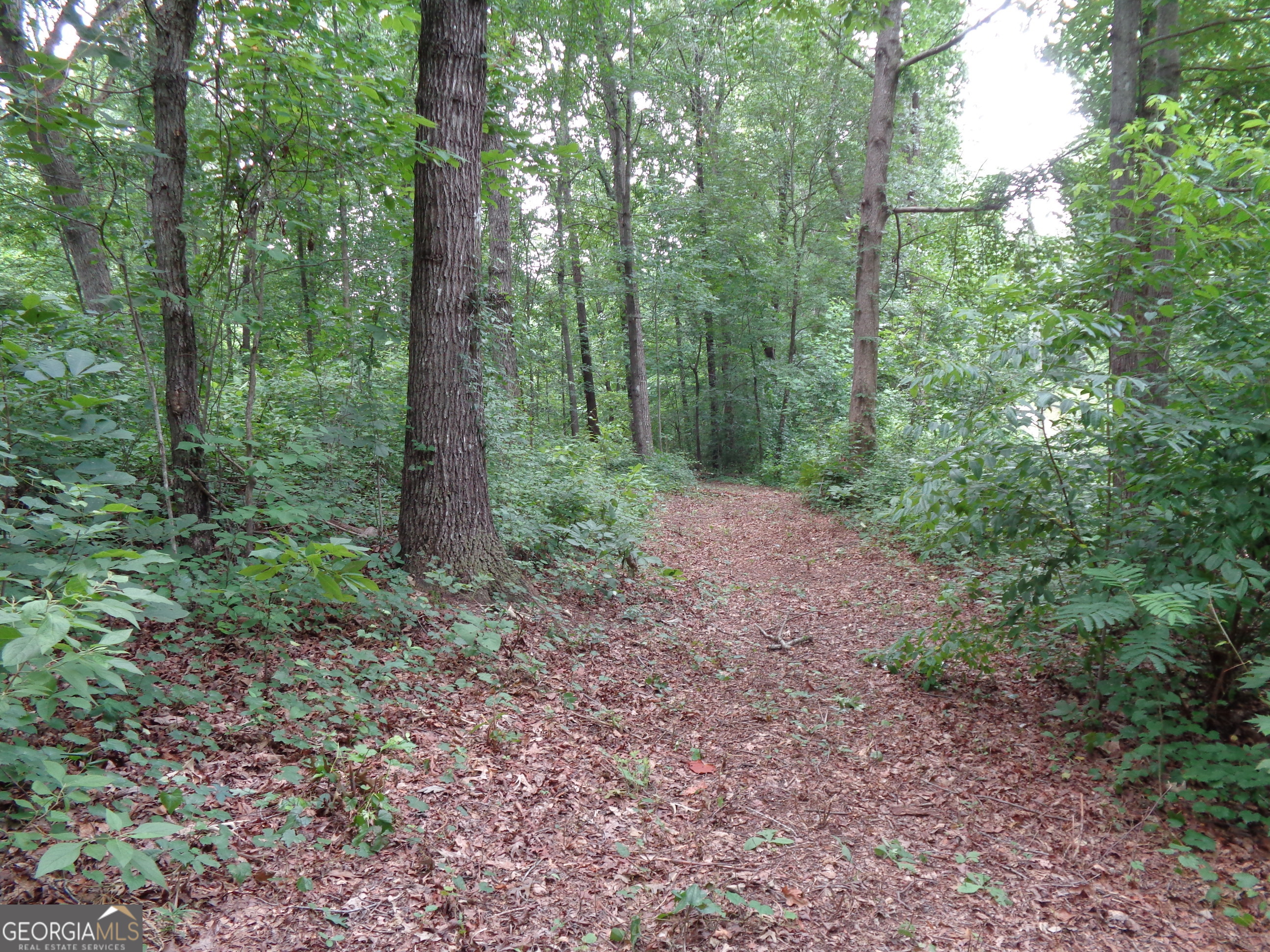 2411 Kesler Road Property Photo 31