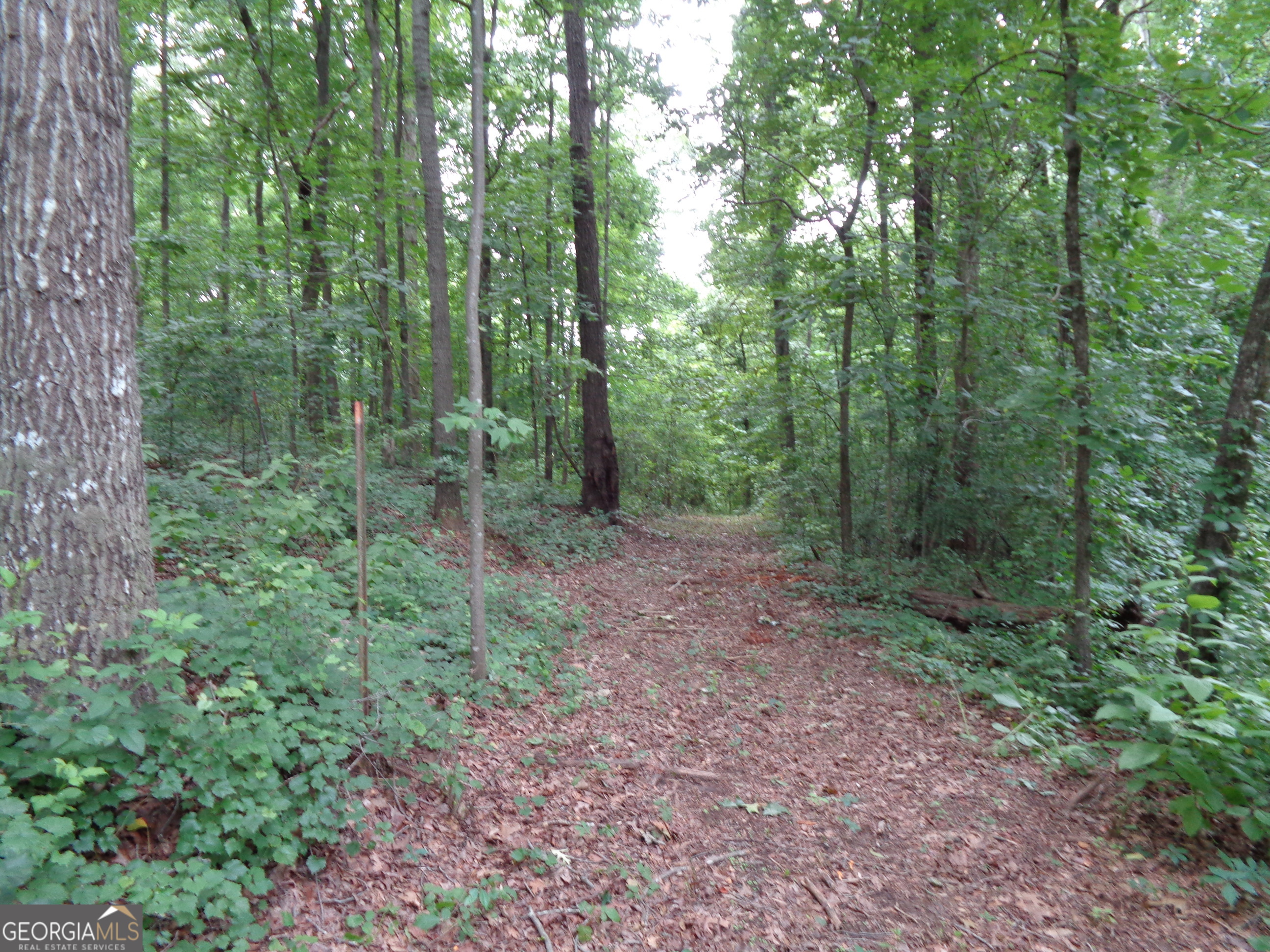 2411 Kesler Road Property Photo 32