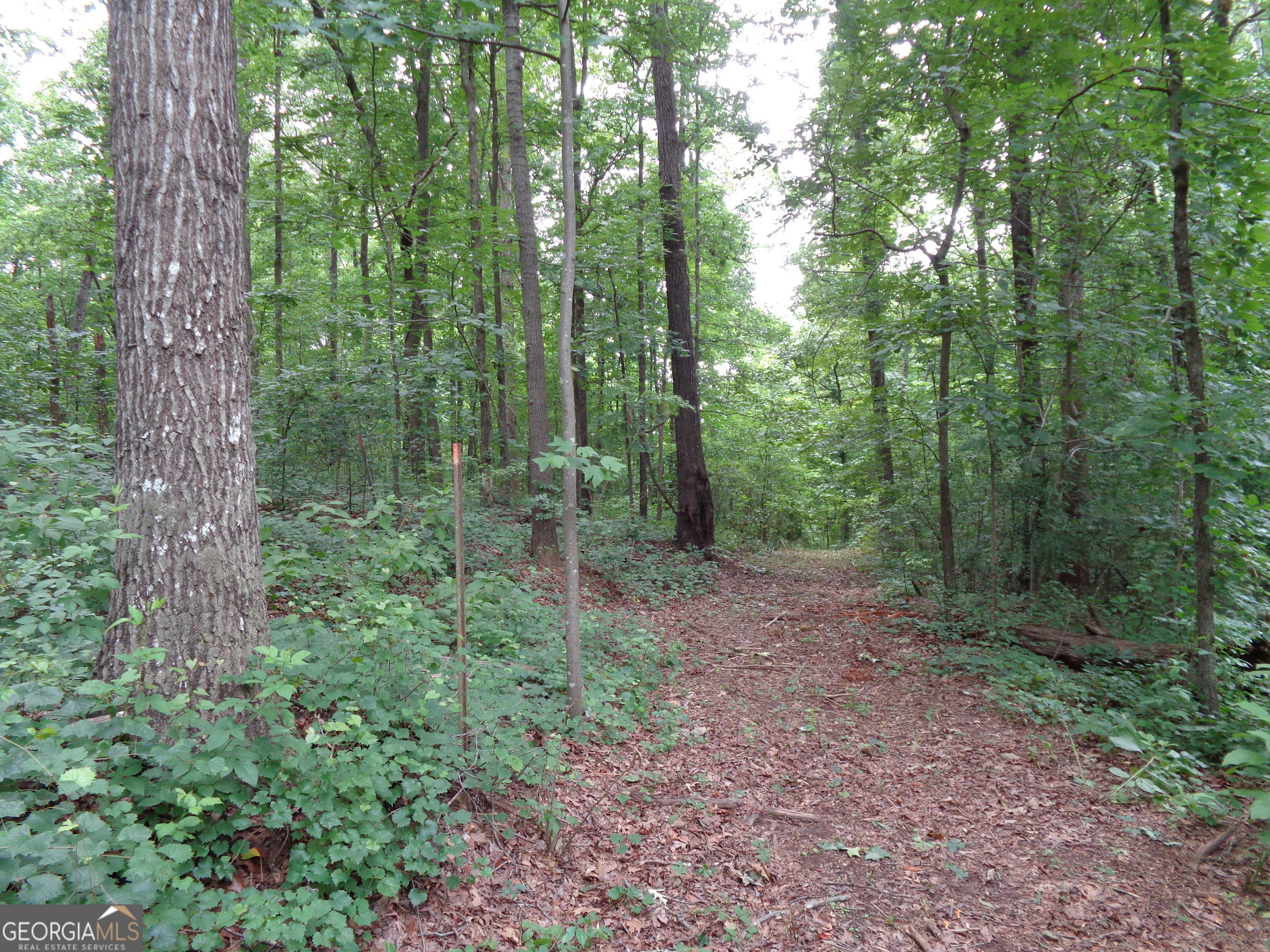 2411 Kesler Road Property Photo 33