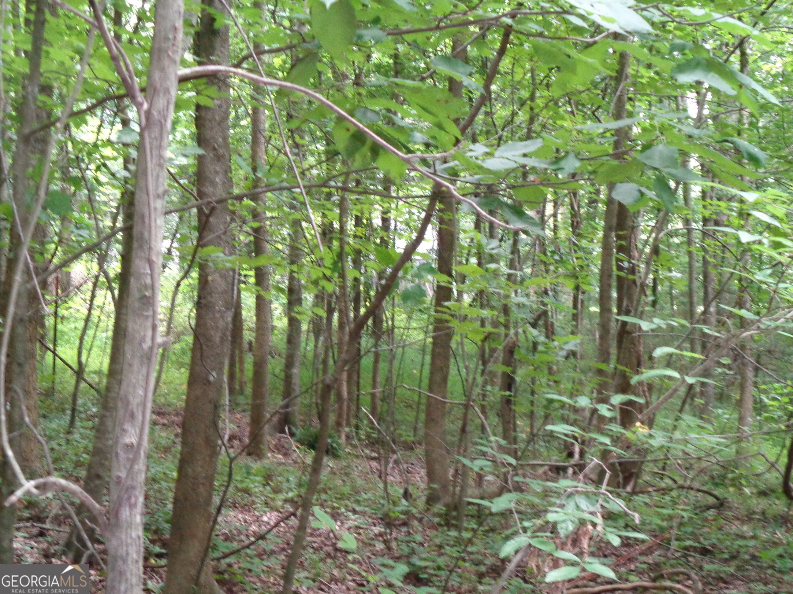 2411 Kesler Road Property Photo 34