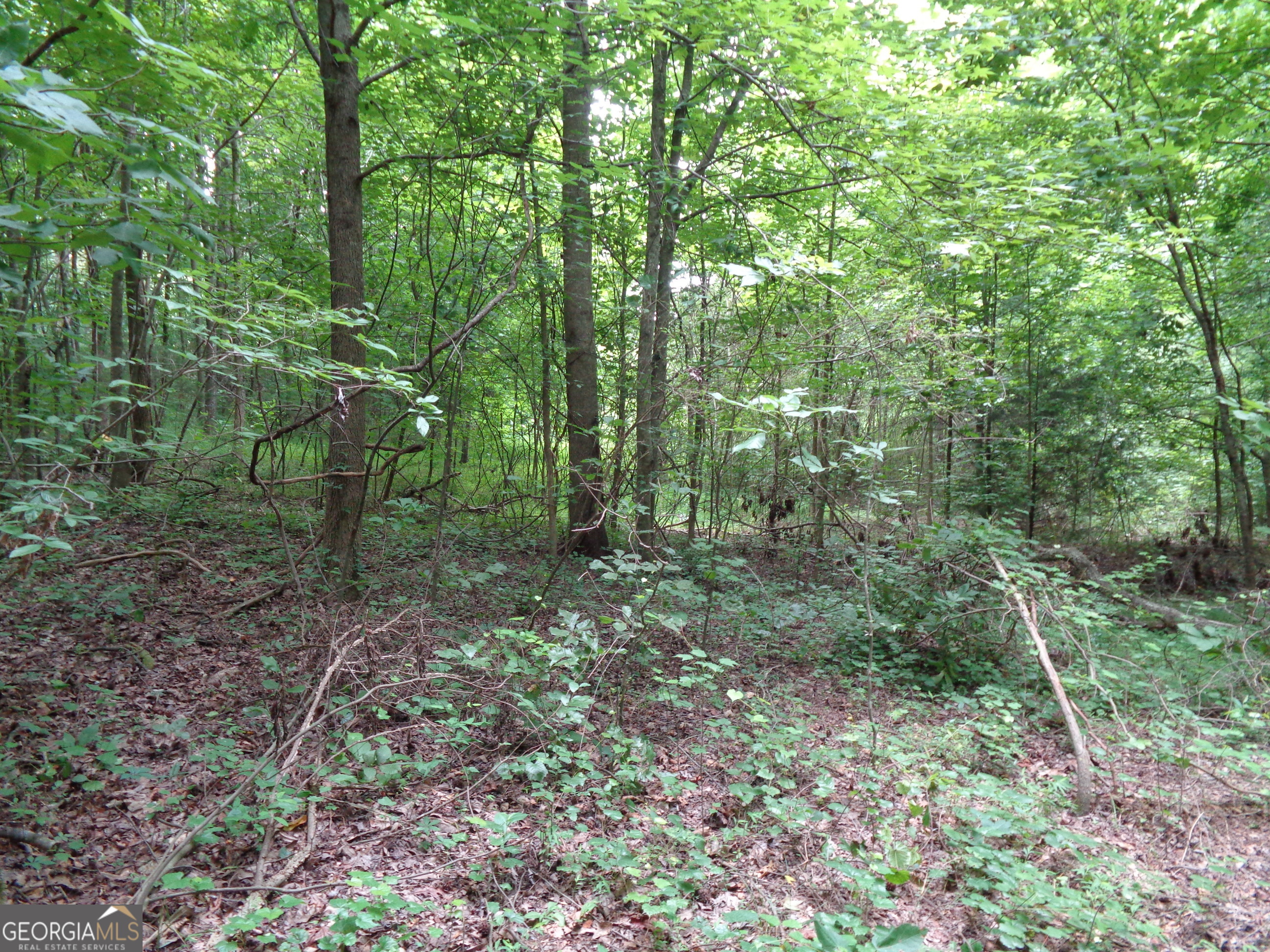 2411 Kesler Road Property Photo 35