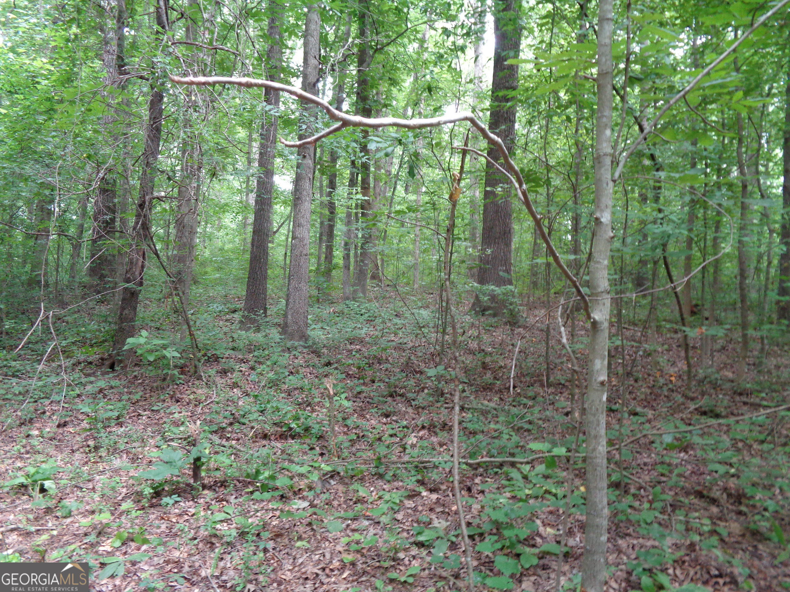2411 Kesler Road Property Photo 36
