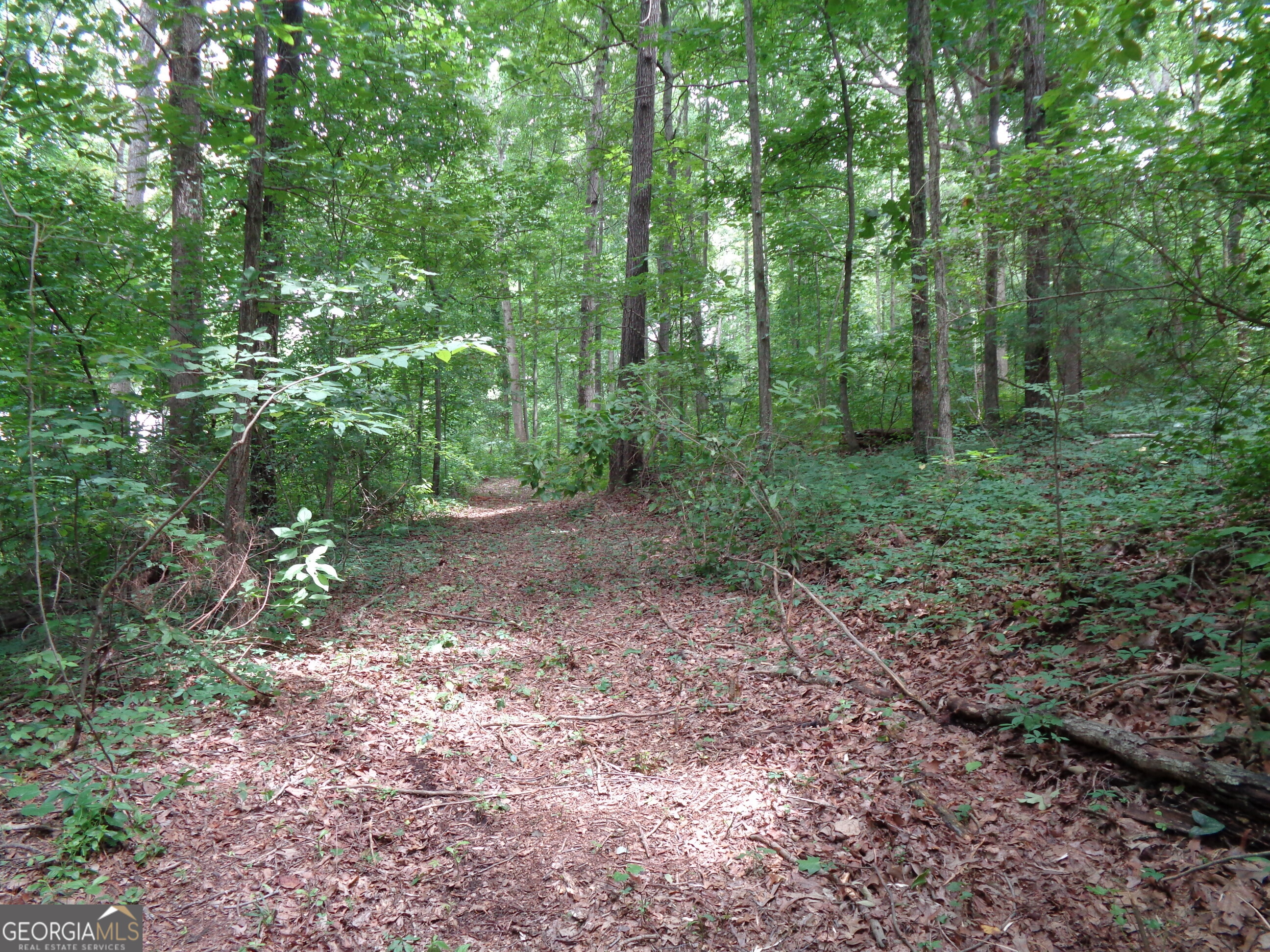 2411 Kesler Road Property Photo 37