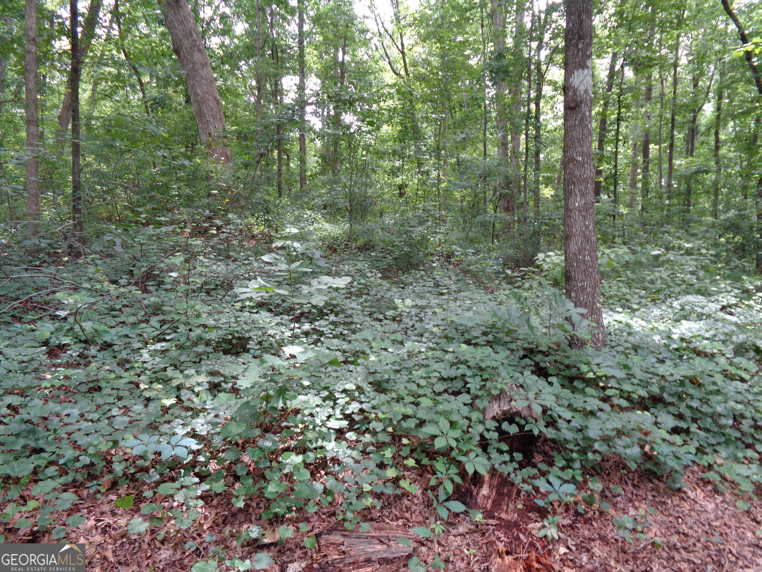 2411 Kesler Road Property Photo 38