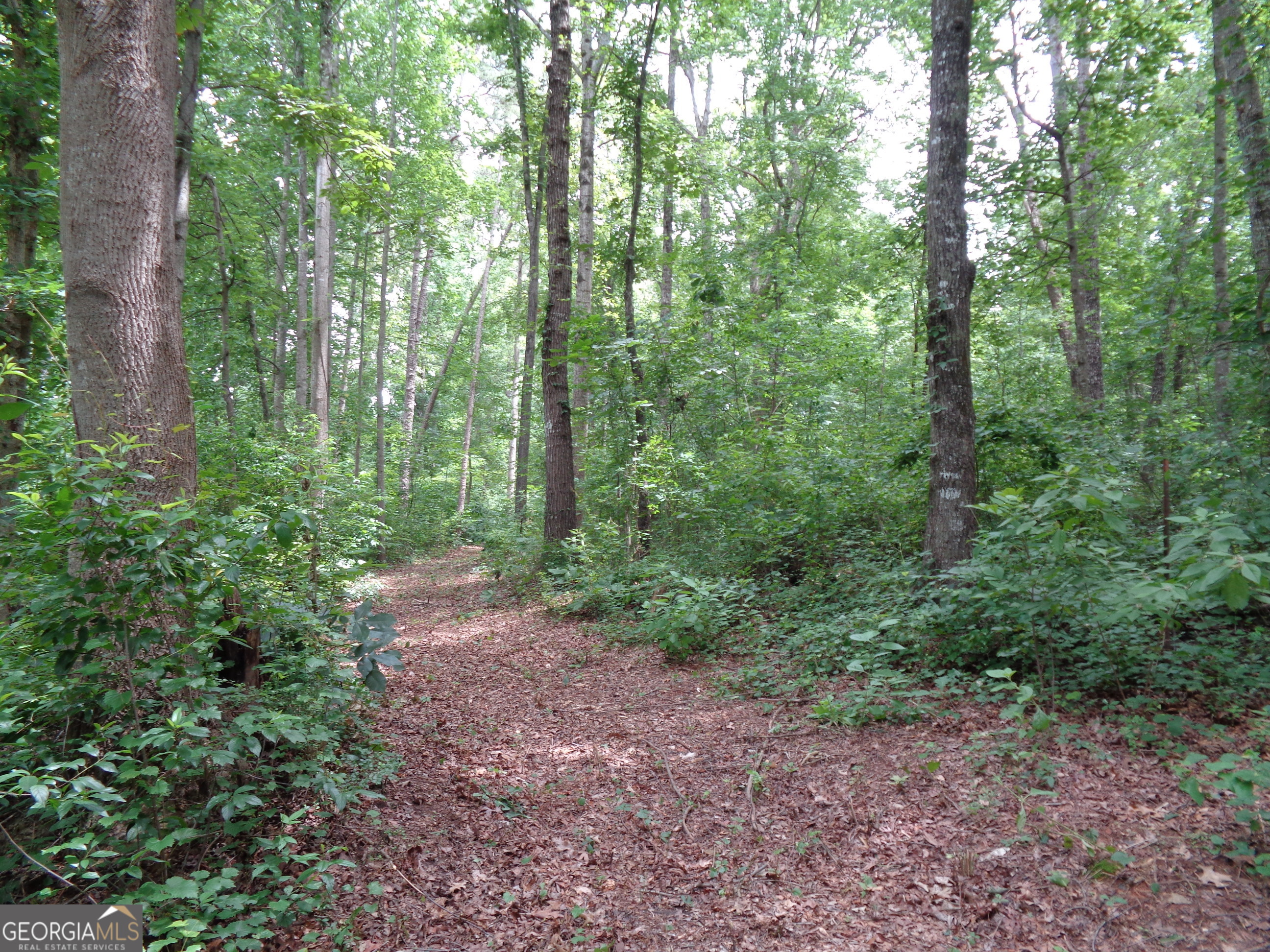 2411 Kesler Road Property Photo 39