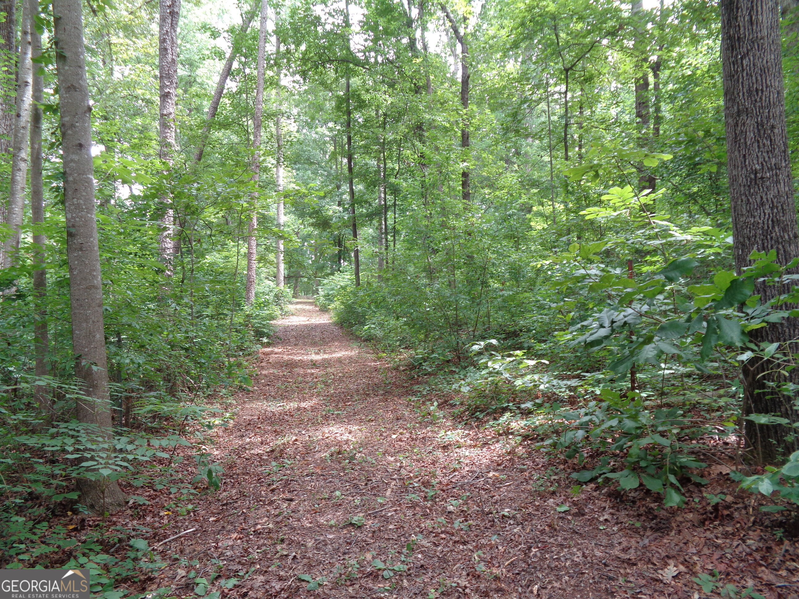 2411 Kesler Road Property Photo 40