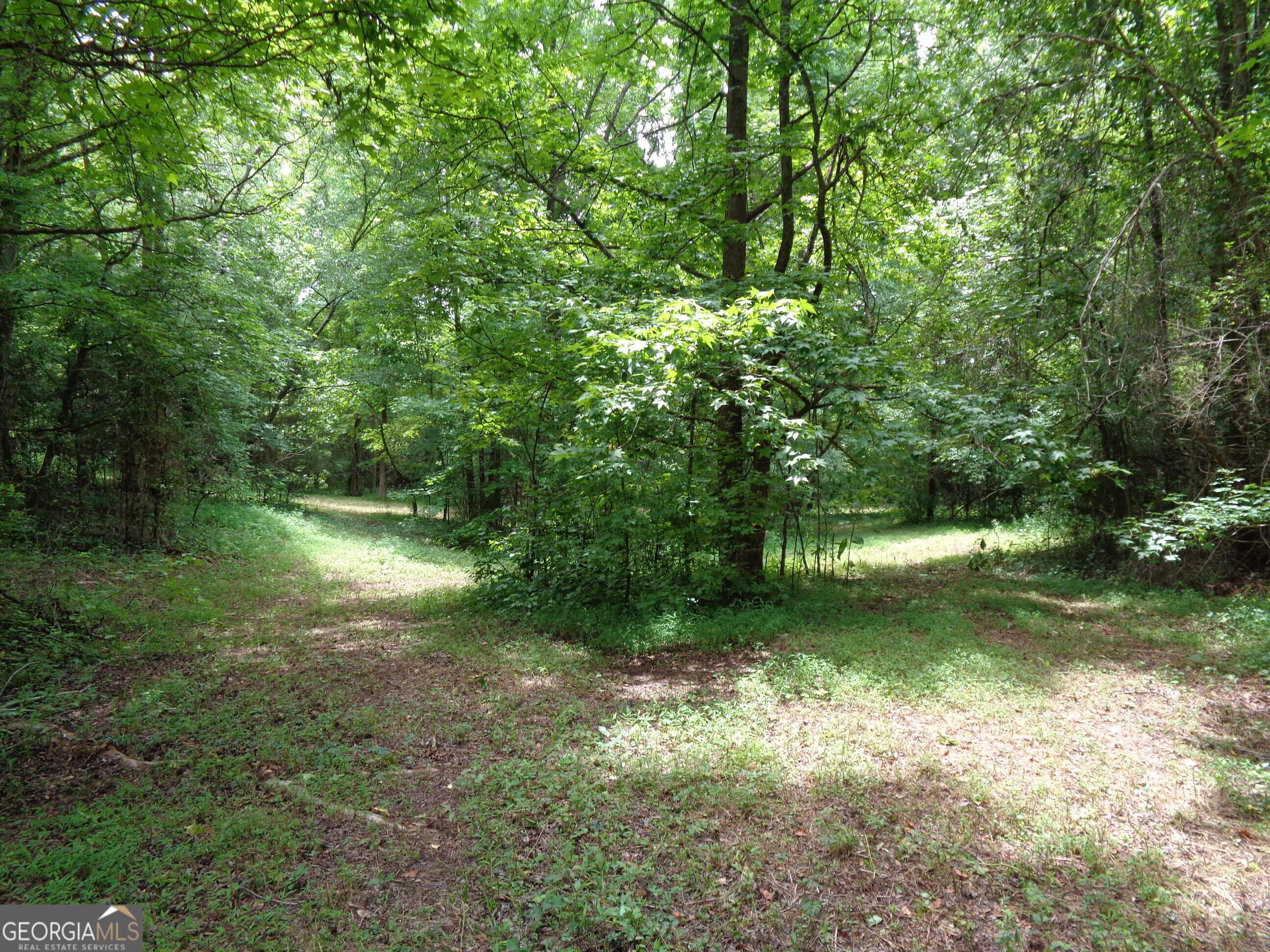 2411 Kesler Road Property Photo 49
