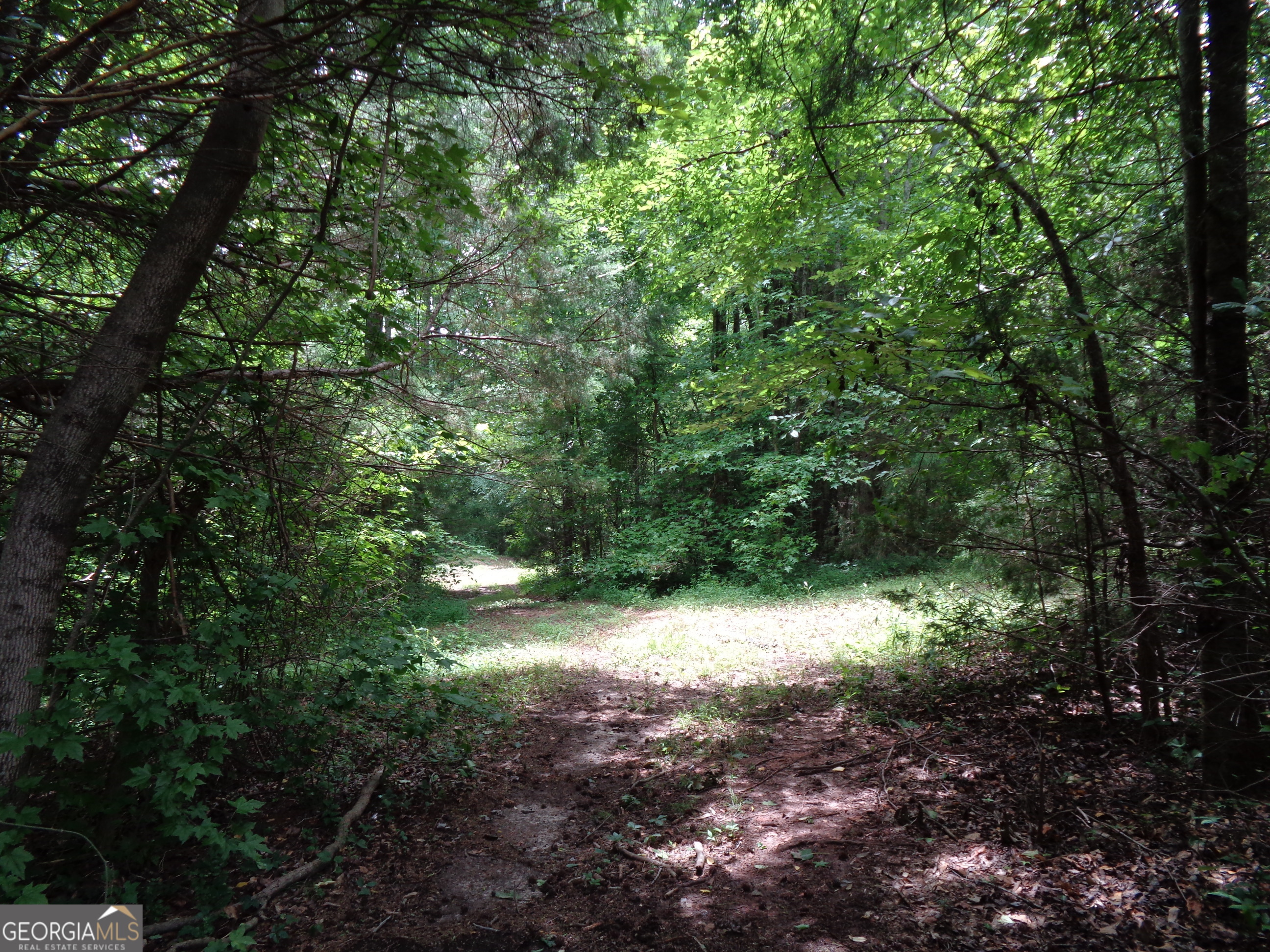 2411 Kesler Road Property Photo 51