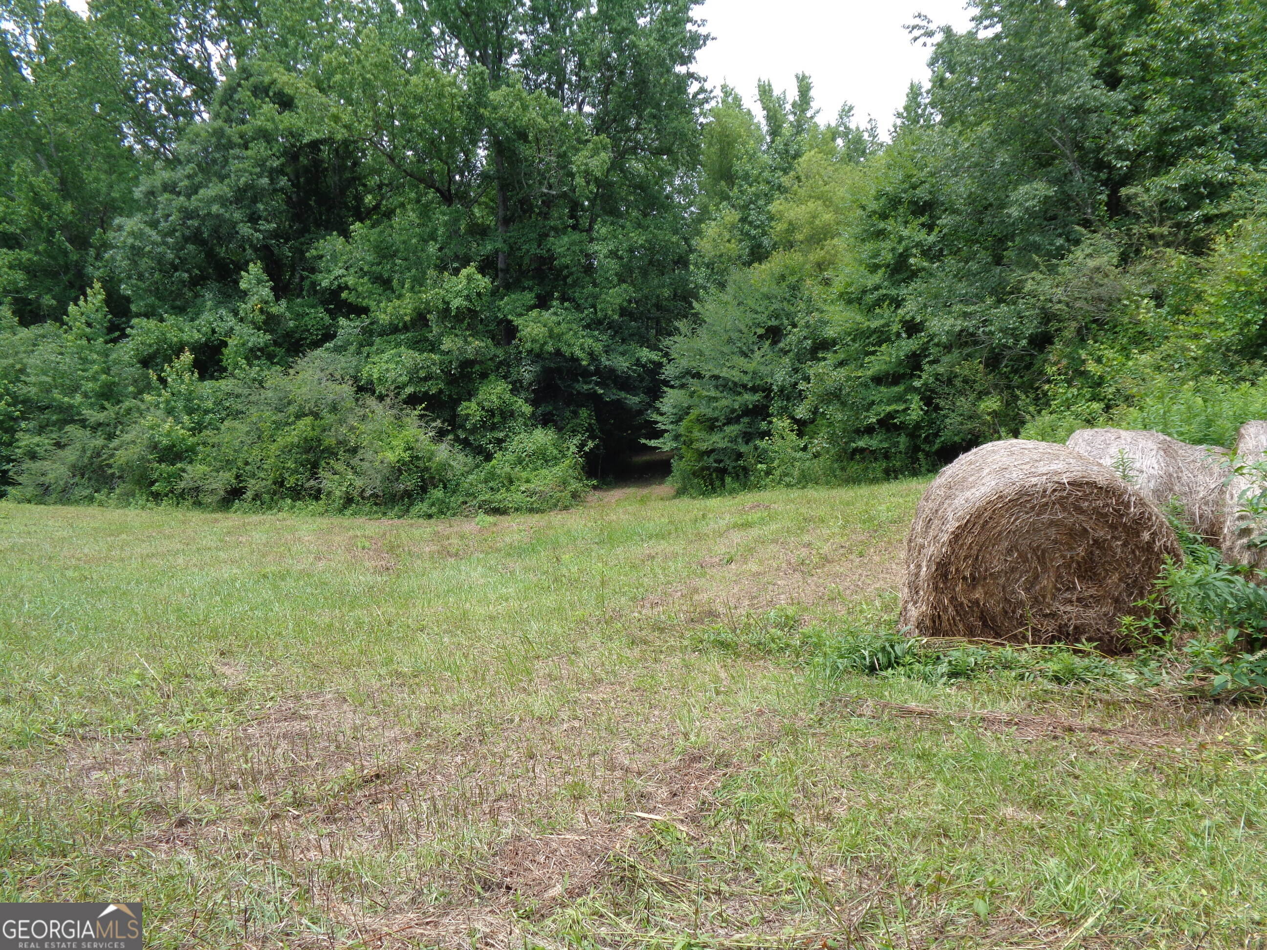 2411 Kesler Road Property Photo 55