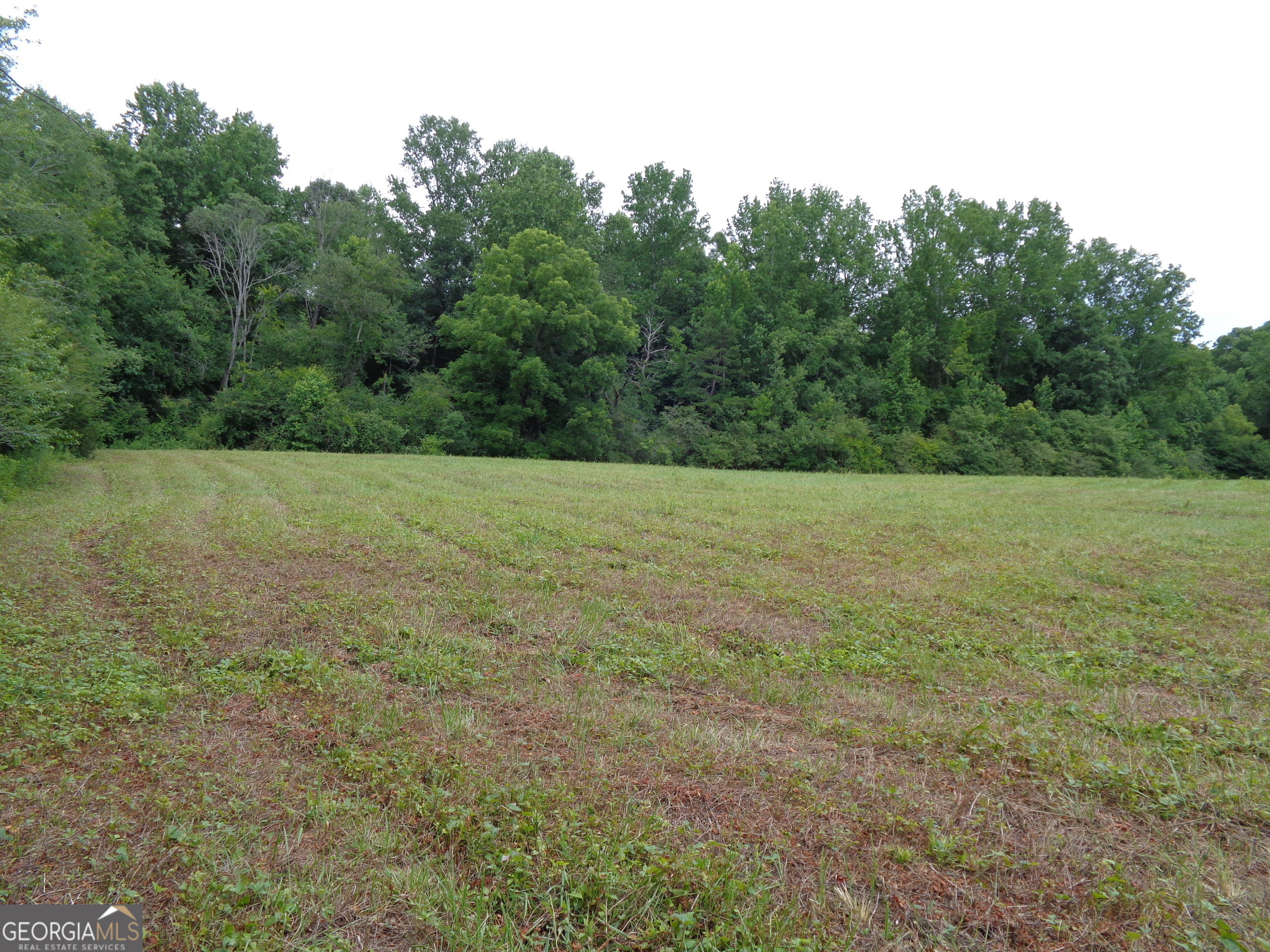 2411 Kesler Road Property Photo 61