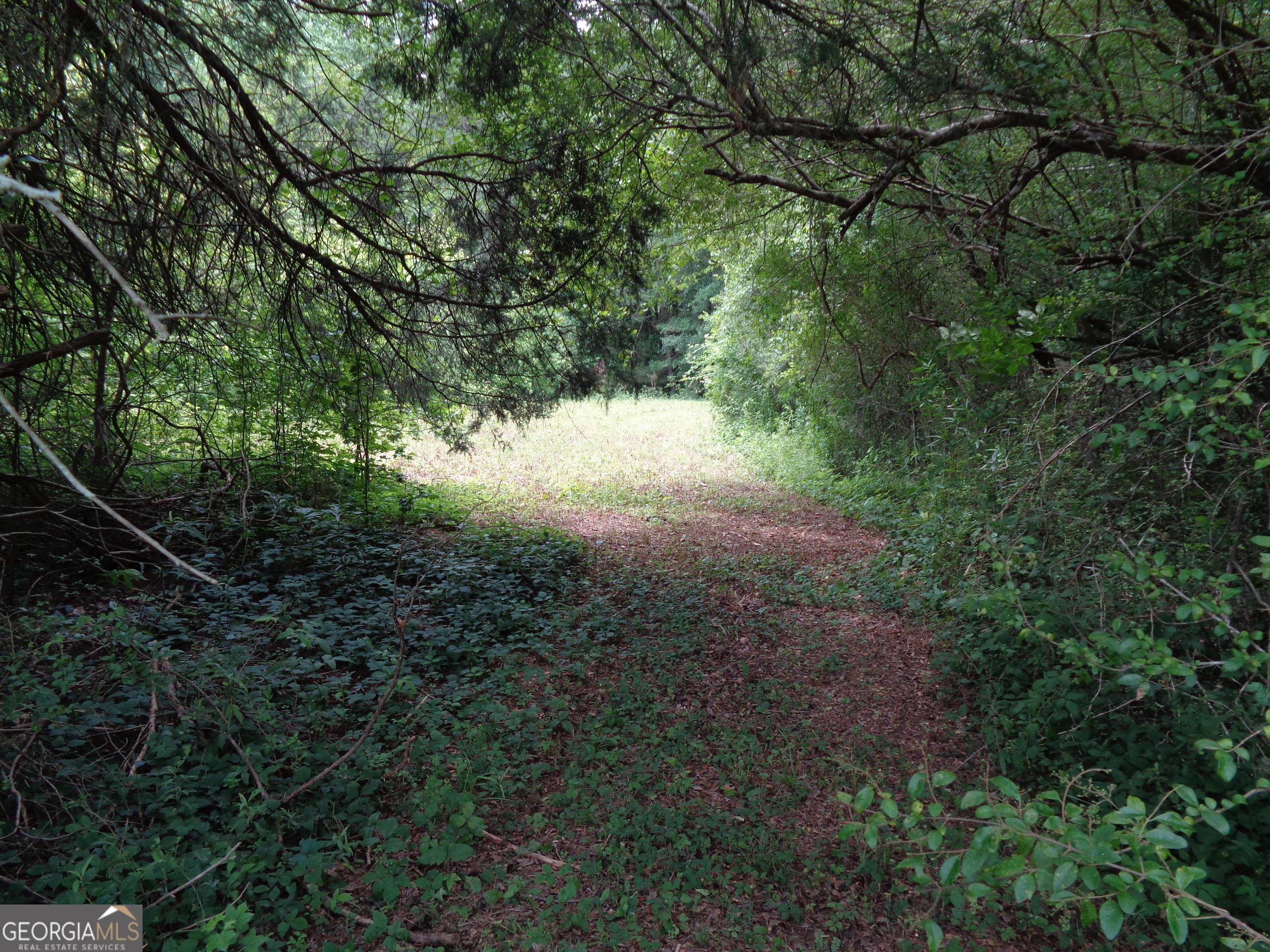 2411 Kesler Road Property Photo 62