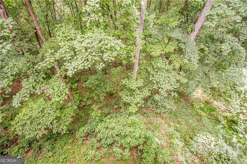 213 Moonshine Hollow Property Photo 32