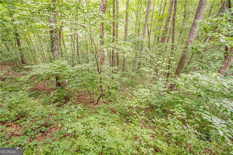 213 Moonshine Hollow Property Photo 46
