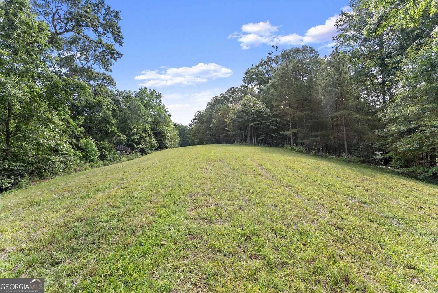0 Long Branch Road LOT 120 Property Photo 1