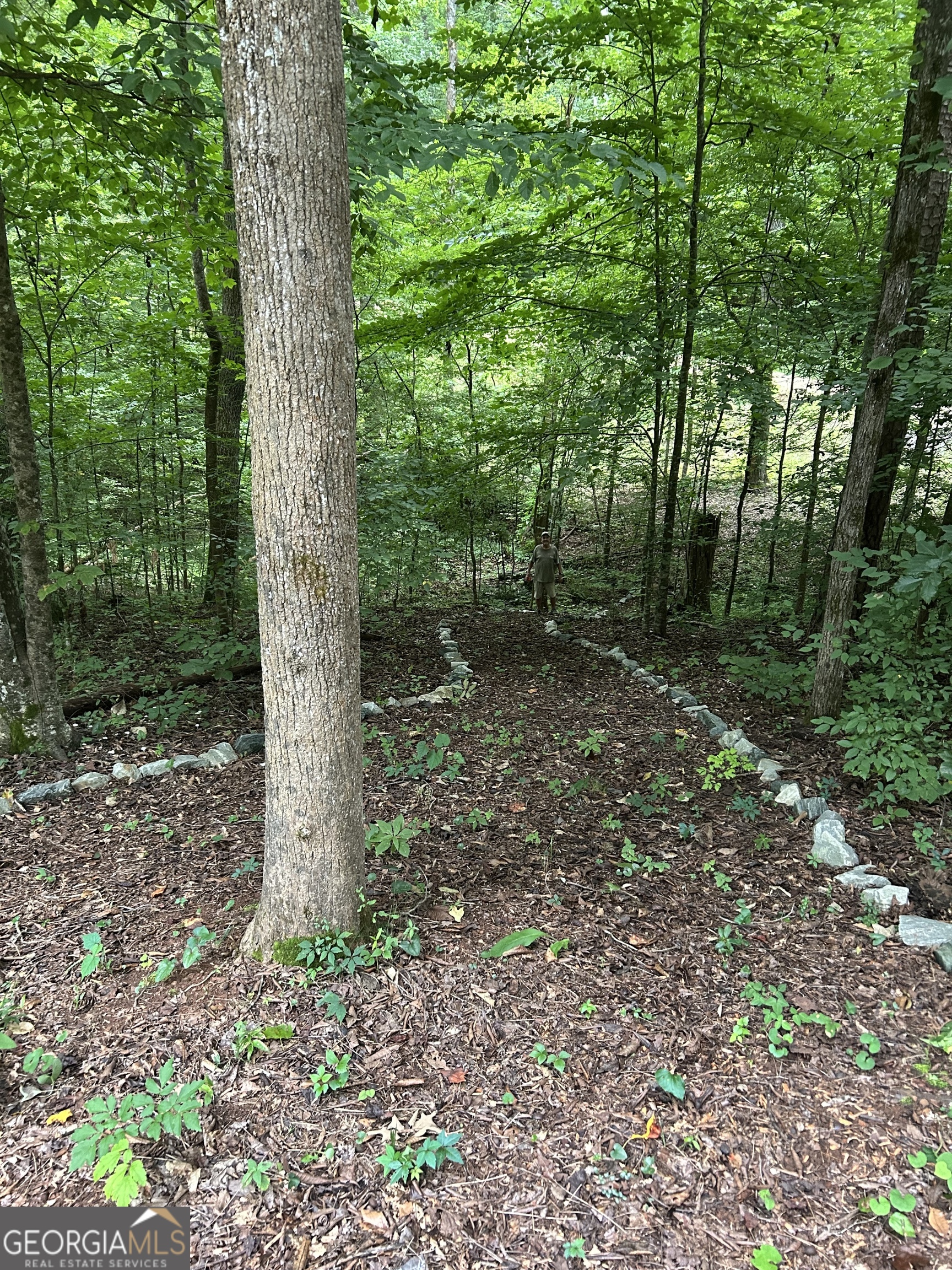 581 Cherokee Road Property Photo 11