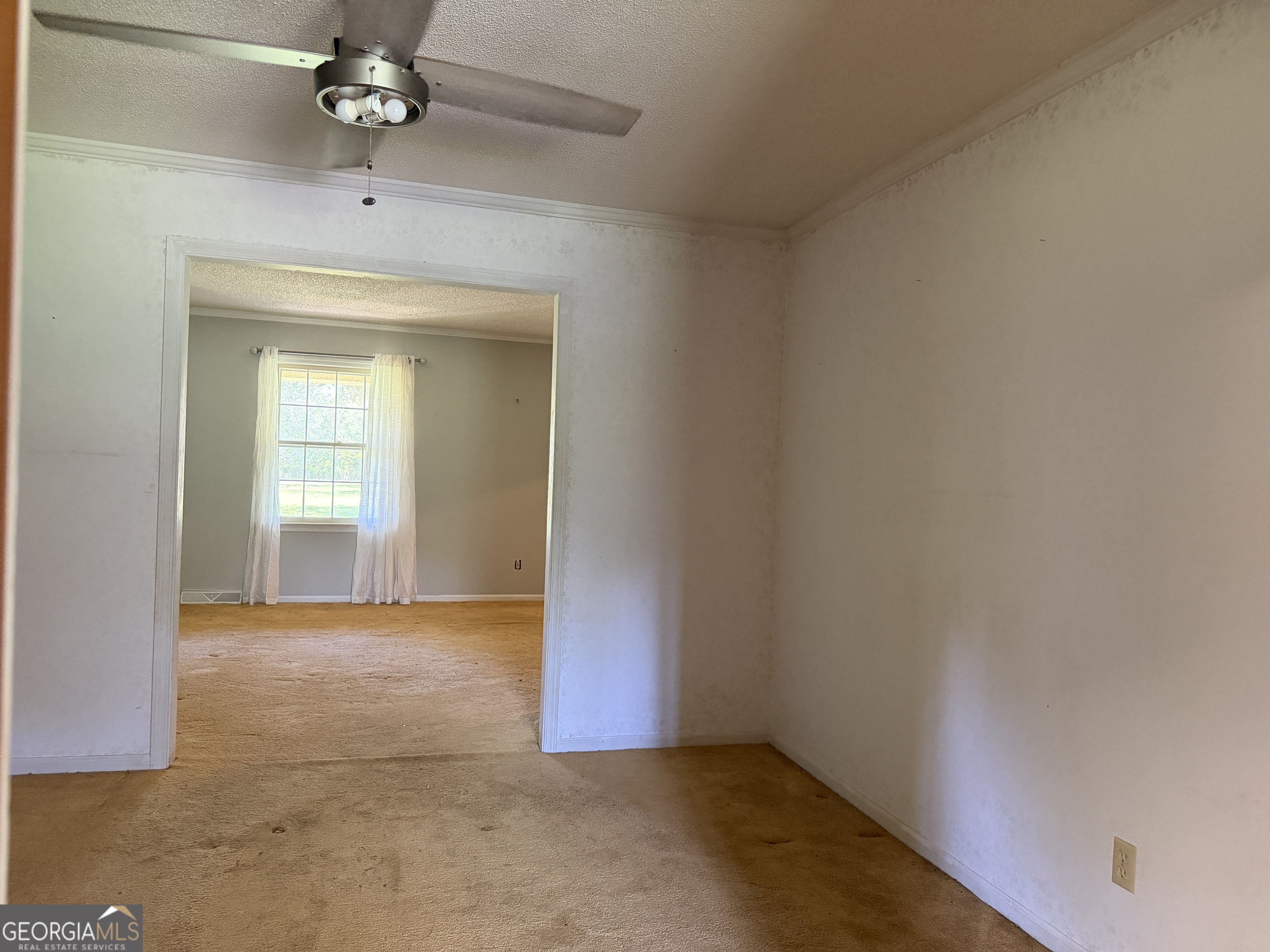 257 Lonnie Burke Road Property Photo 11