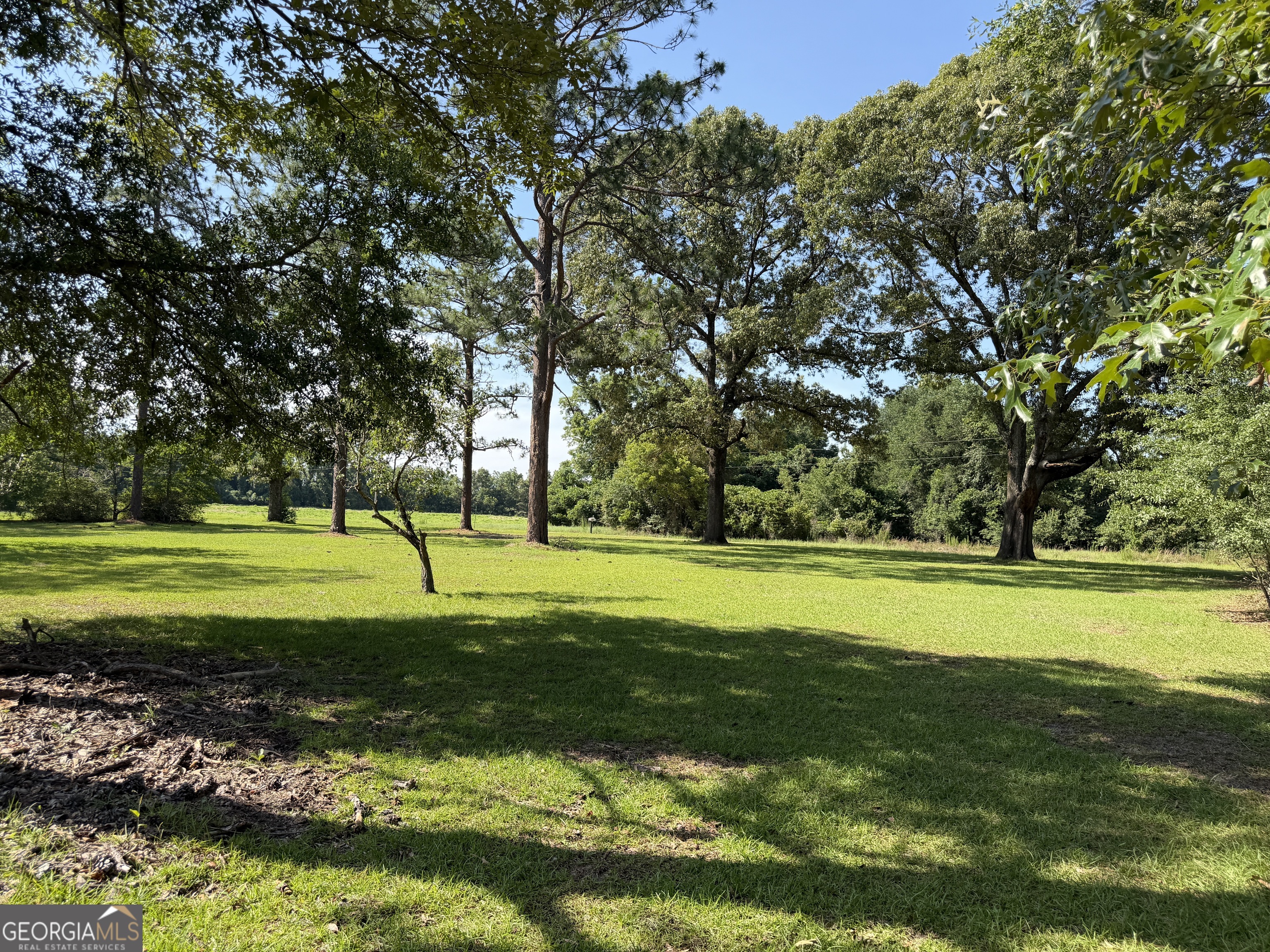 257 Lonnie Burke Road Property Photo 18