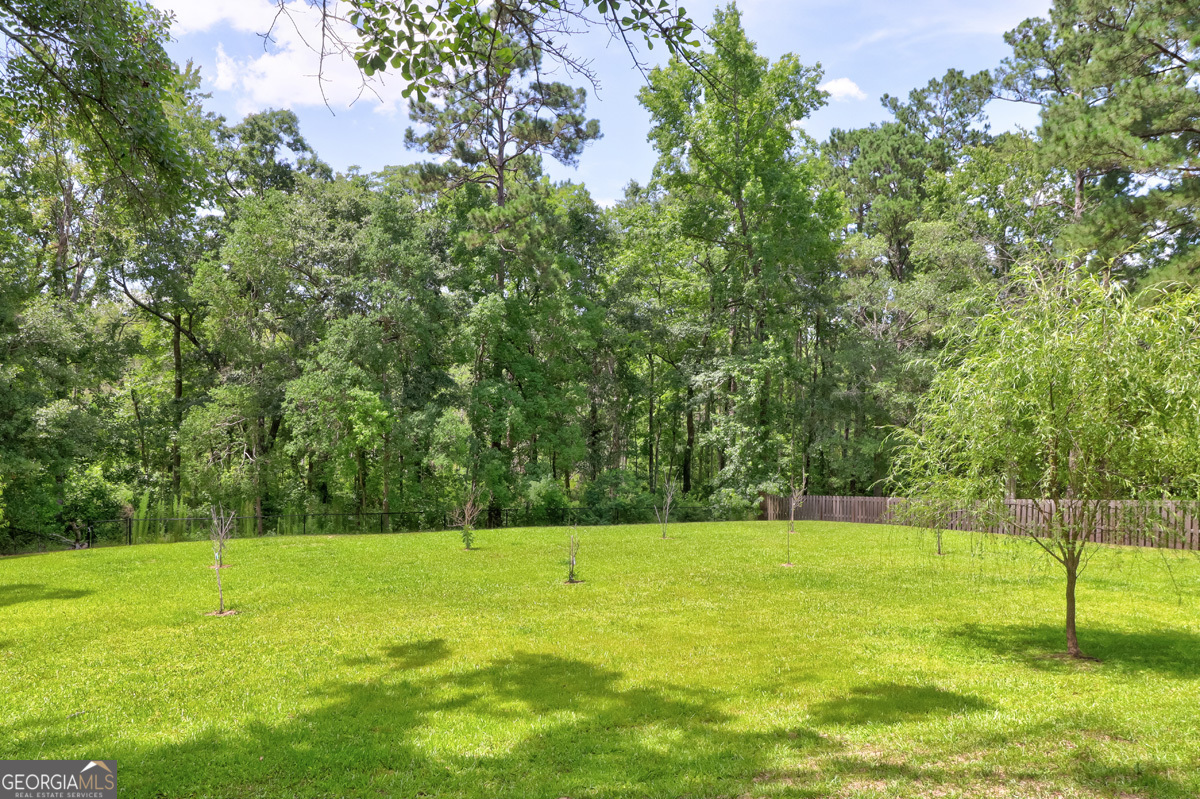 113 Red Bluff Circle Property Photo 49