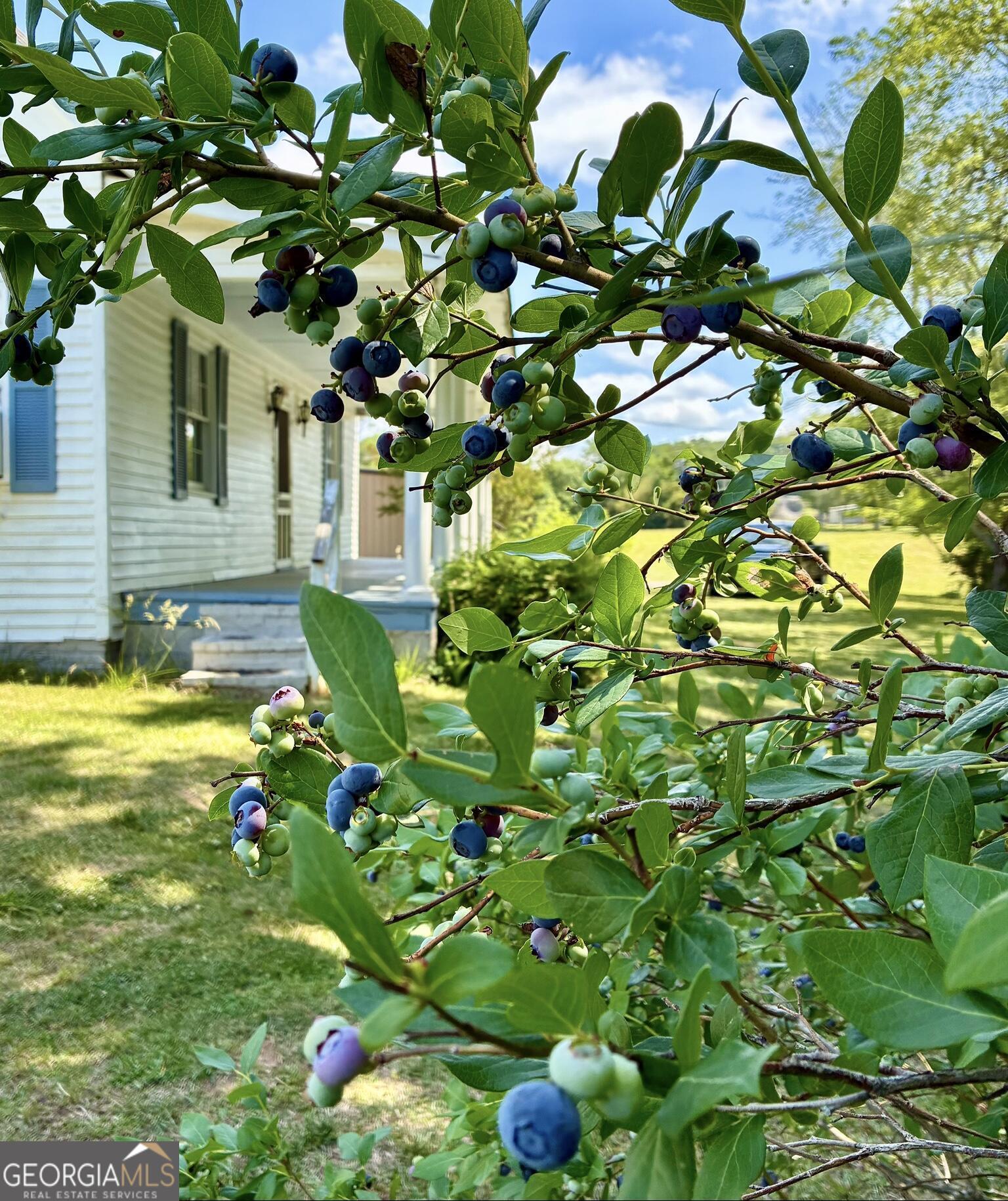 570 Old Antioch Road Property Photo 12
