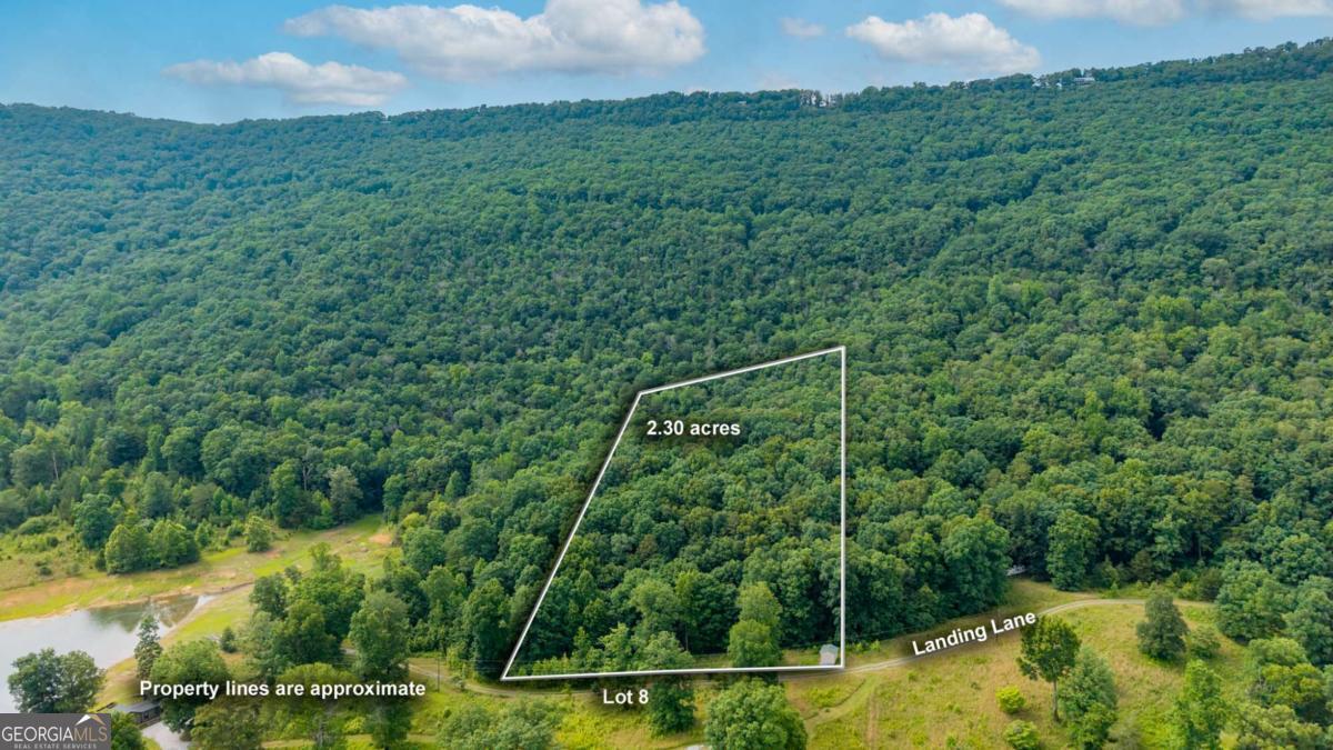 0 Newsome Gap Road Property Photo 1
