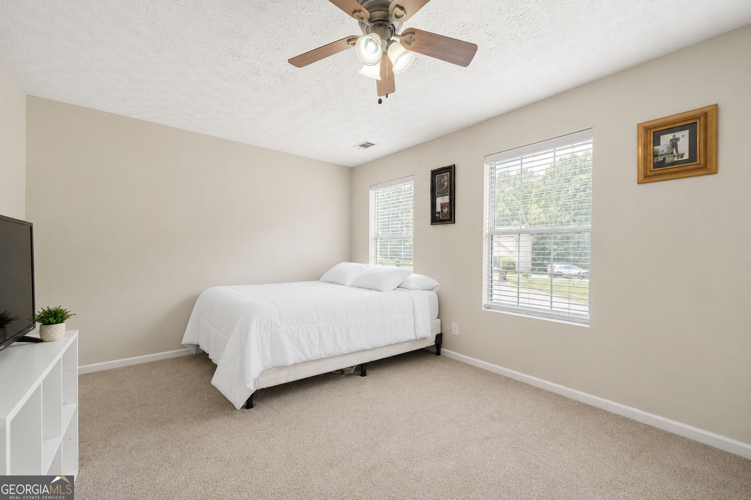 207 Belmont Drive Property Photo 23