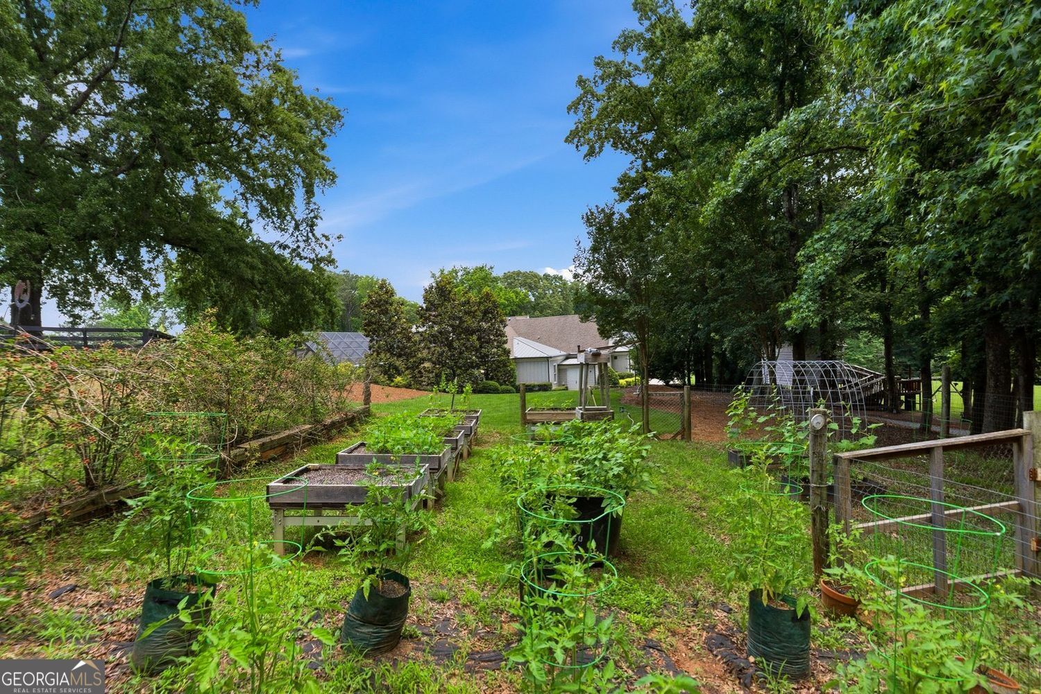 5135 Howard Road Property Photo 158