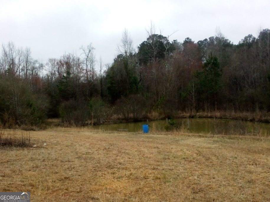 0 Old Woodbury Highway Property Photo 1