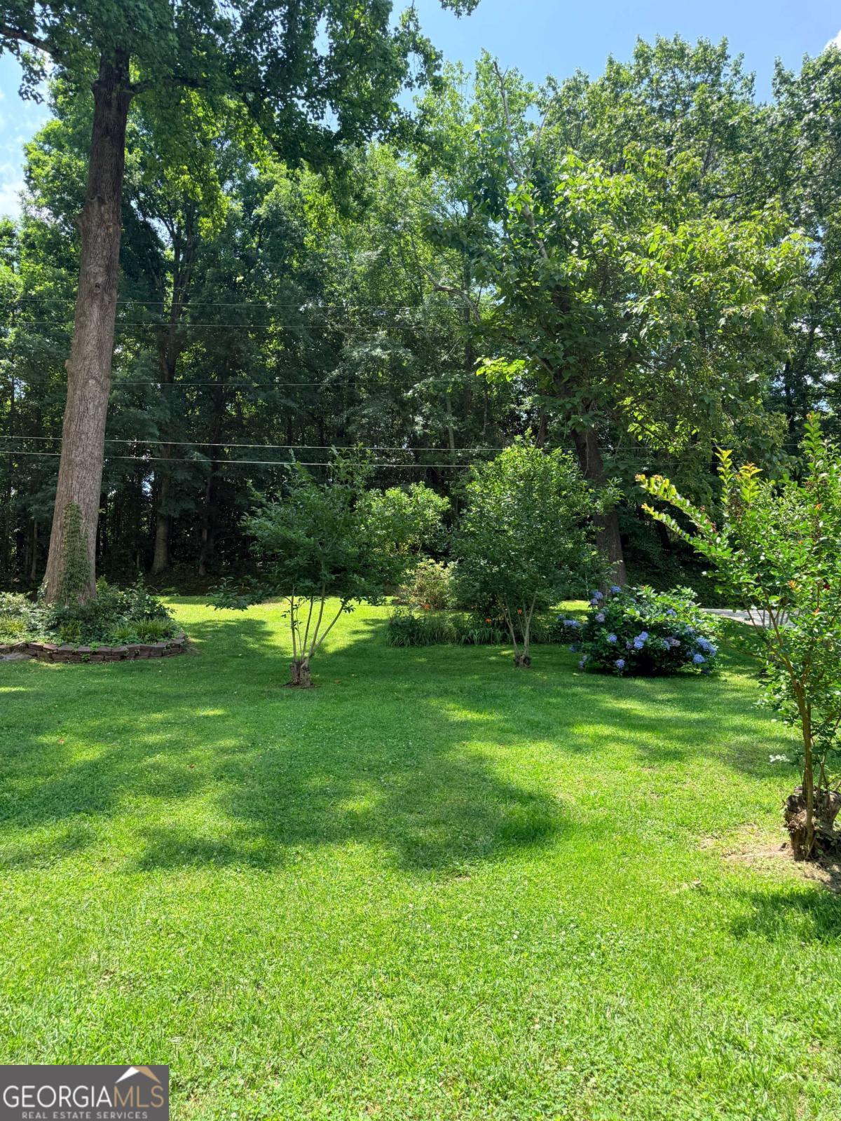 314 Spring Street Property Photo 5