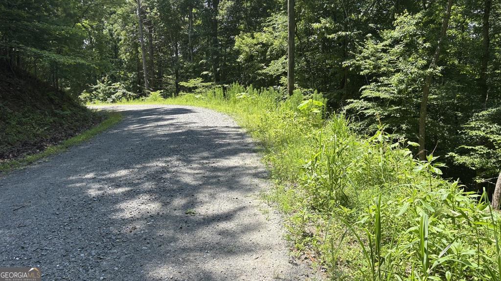 LT 781 Omen Circle Property Photo 1