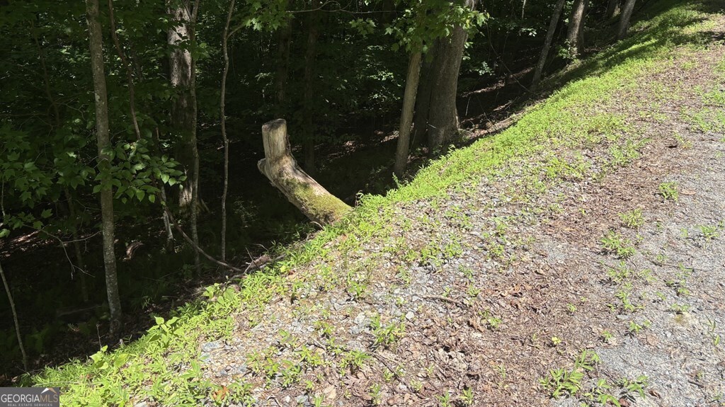 Lt 781 Omen Circle Property Photo 2