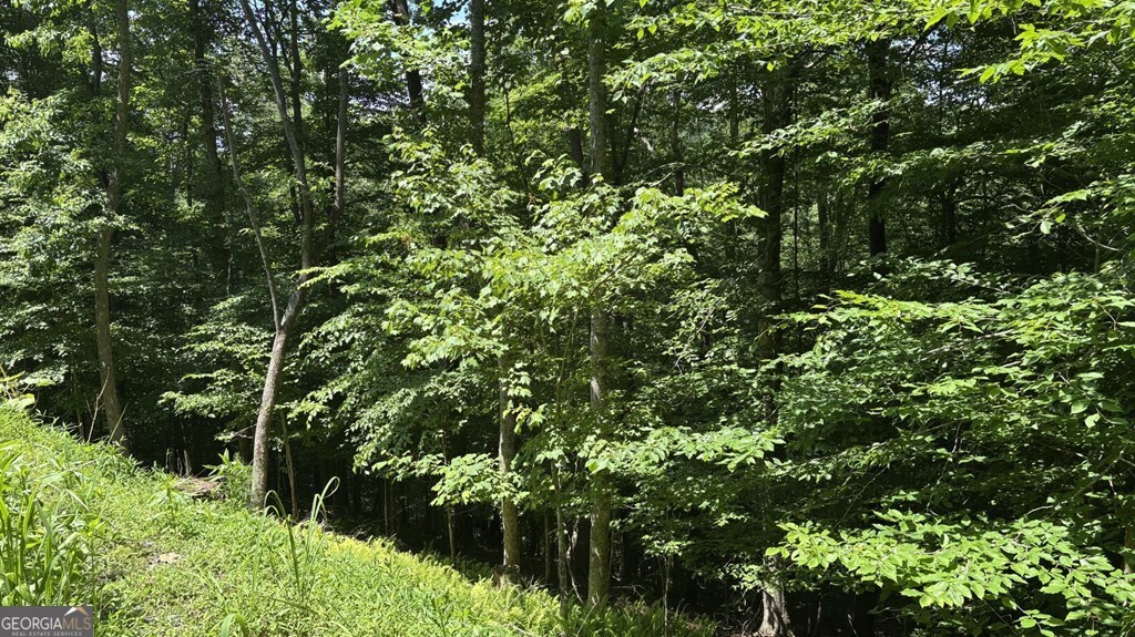Lt 781 Omen Circle Property Photo 3