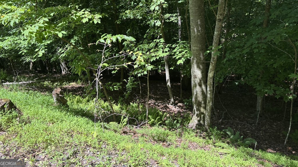 Lt 781 Omen Circle Property Photo 5
