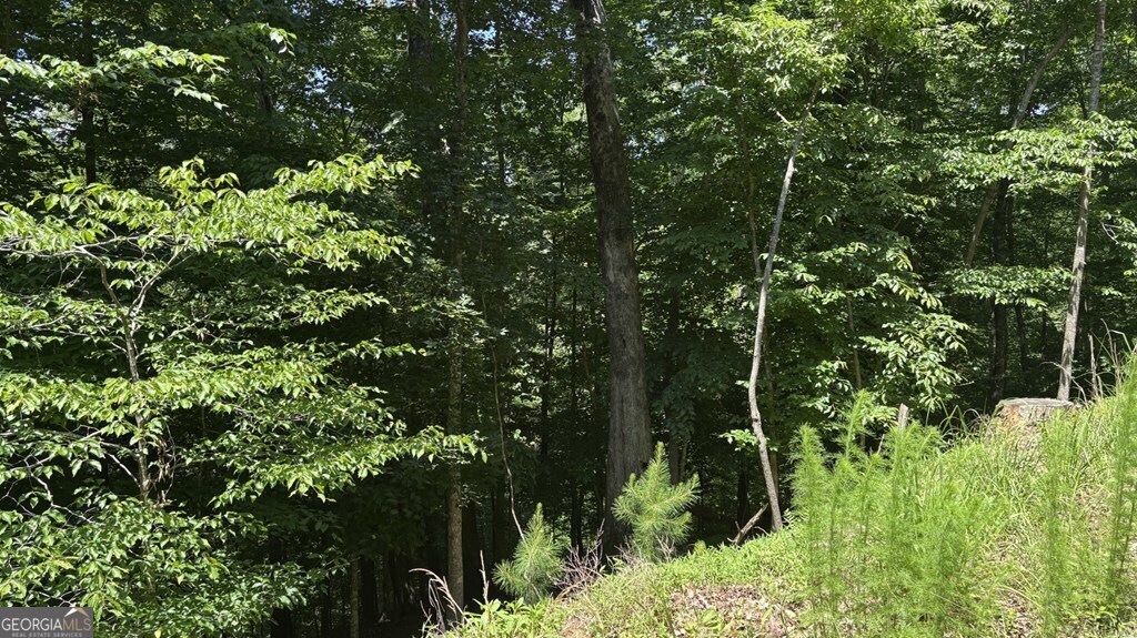 Lt 781 Omen Circle Property Photo 6