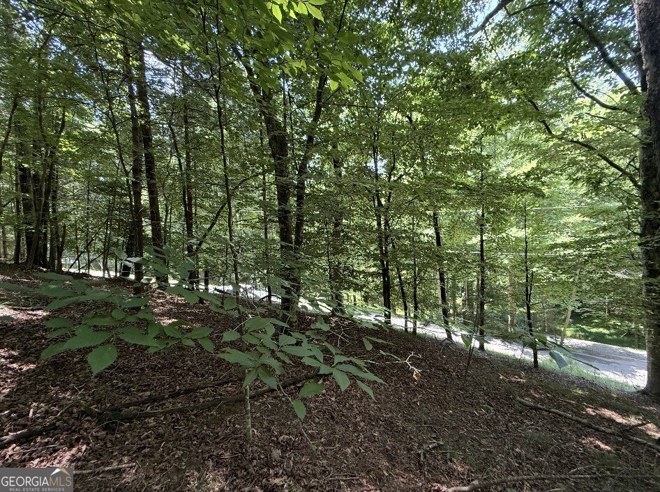 LOT 3469 Fir Lane Property Photo 1