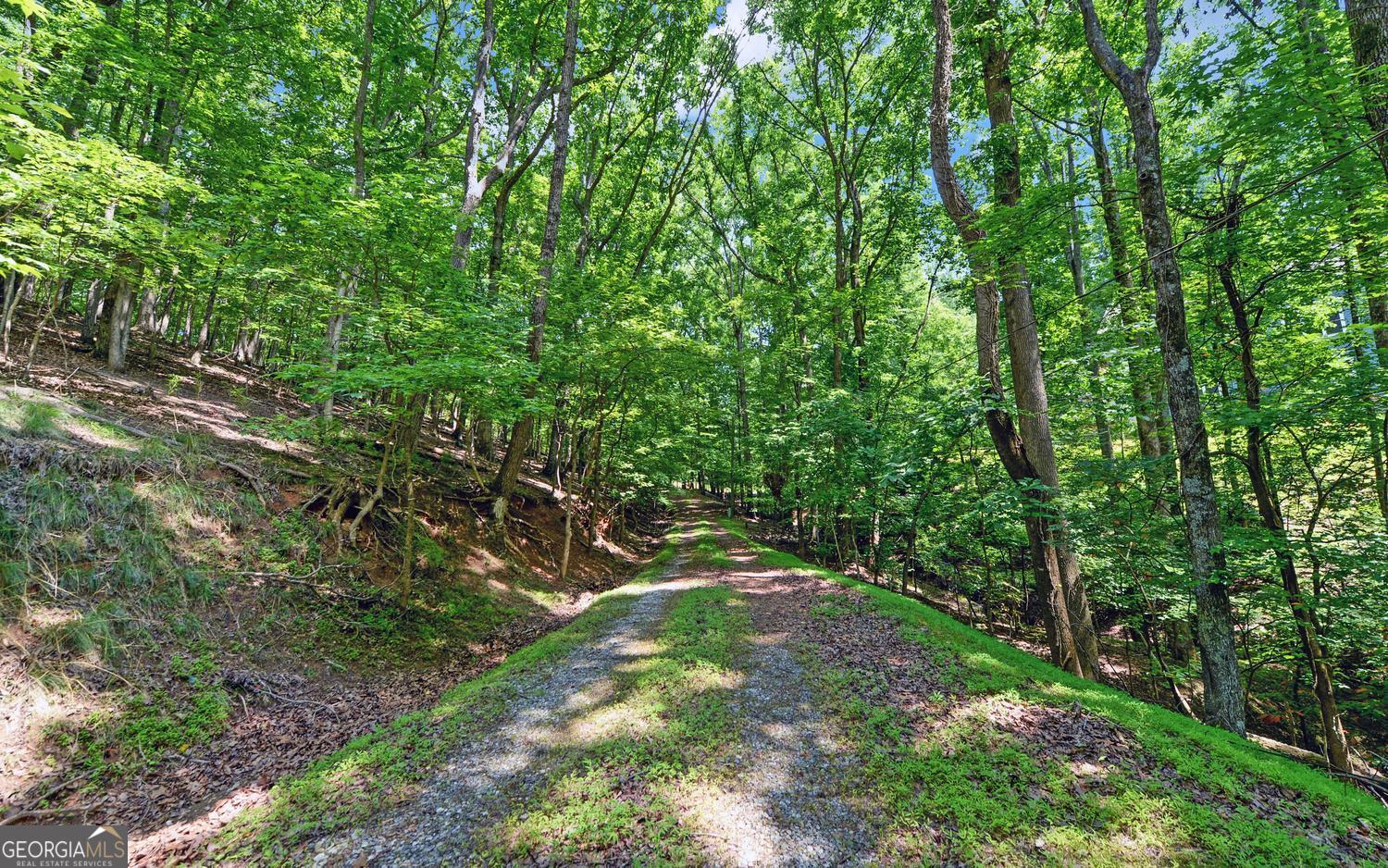 4273 Cherokee Trail Property Photo 5