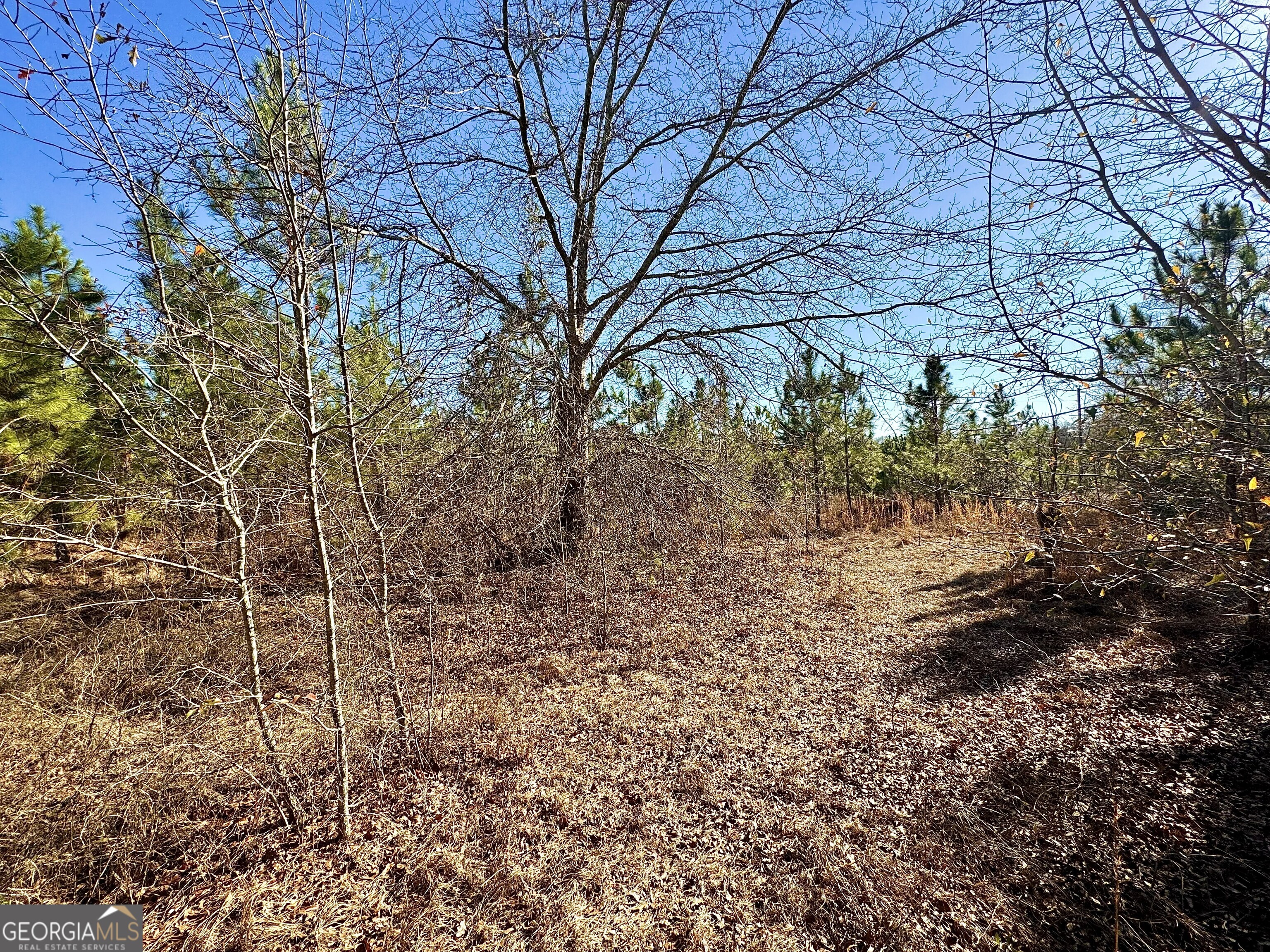 0 Mcdaniel Drive Property Photo 8